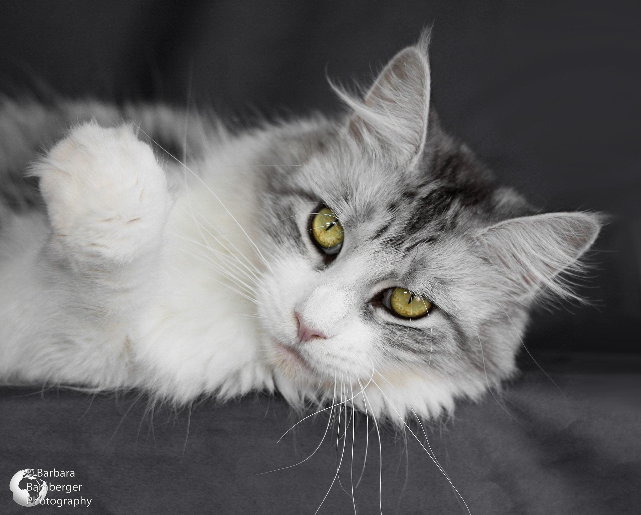 Canon EF-S 60mm F2.8 Macro USM sample photo. Eyes photography
