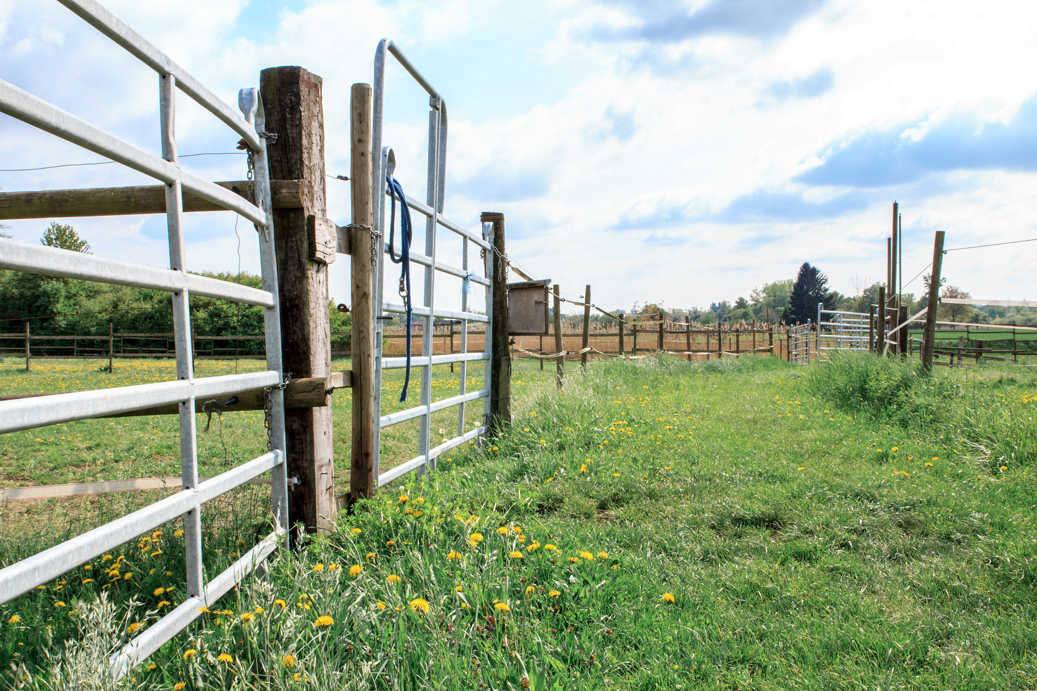 Canon EF-S 17-55mm F2.8 IS USM sample photo. Field photography
