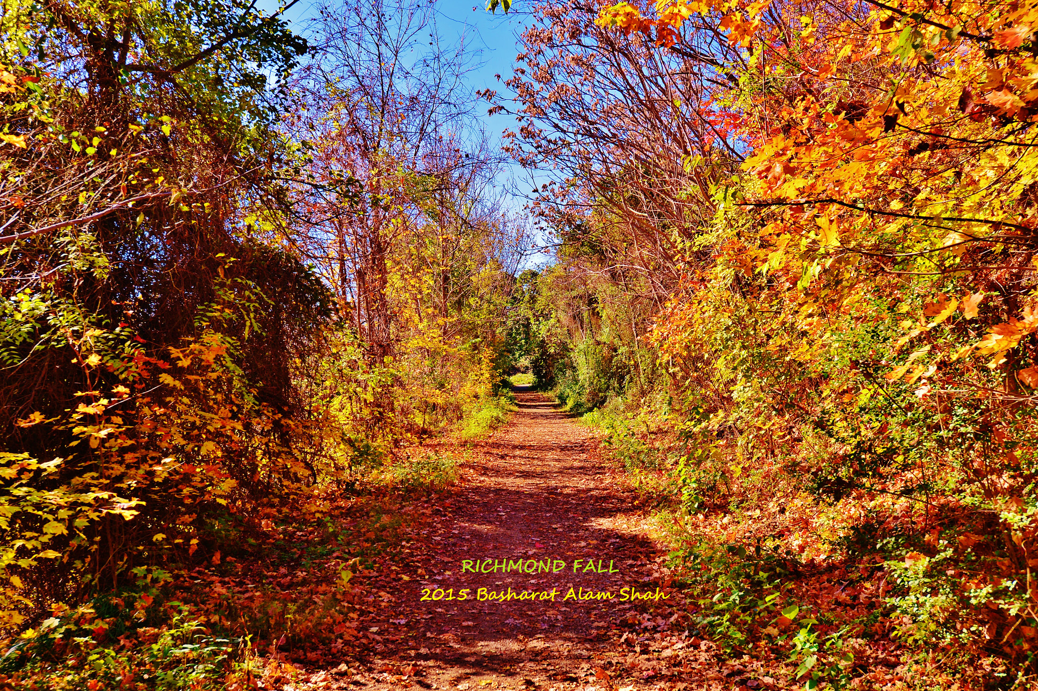 Nikon D4 sample photo. 22578874398.jpg photography