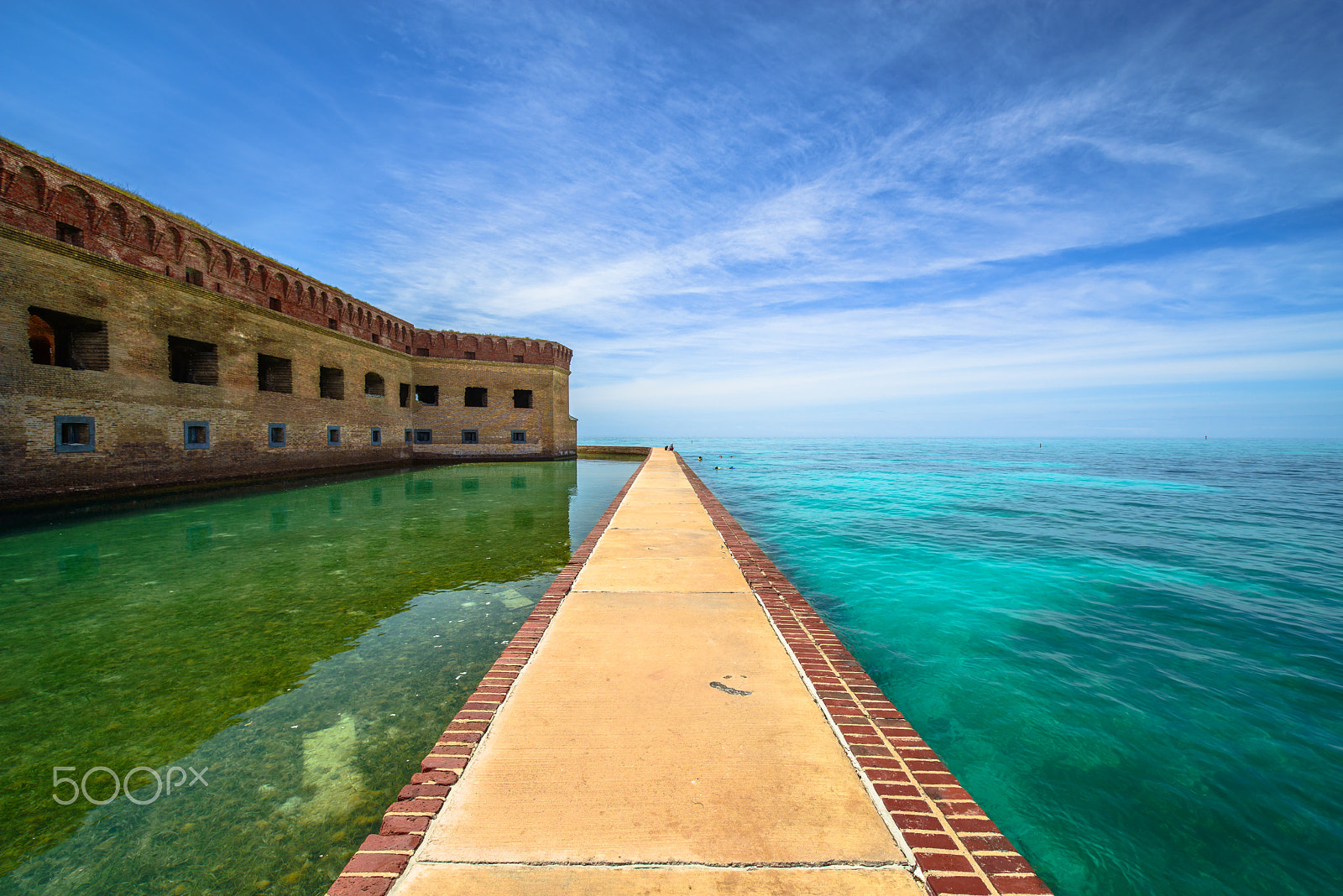 Nikon D800E sample photo. Las tortugas photography