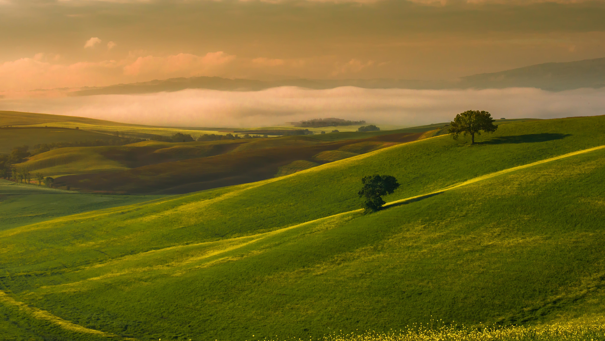 My val d'Orcia_FAB3692.jpg