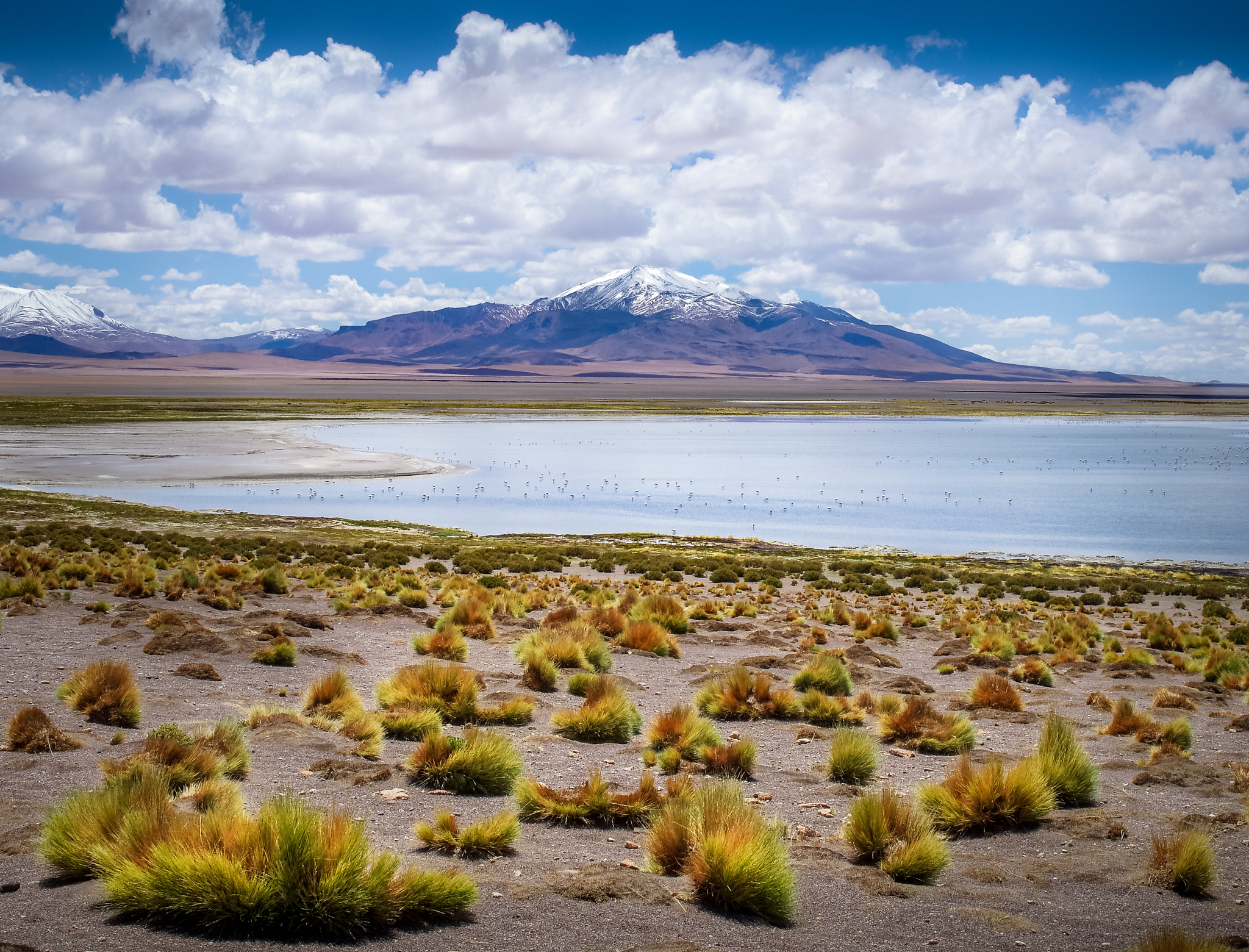 Pentax smc FA 31mm F1.8 AL Limited sample photo. Salar de atacama photography