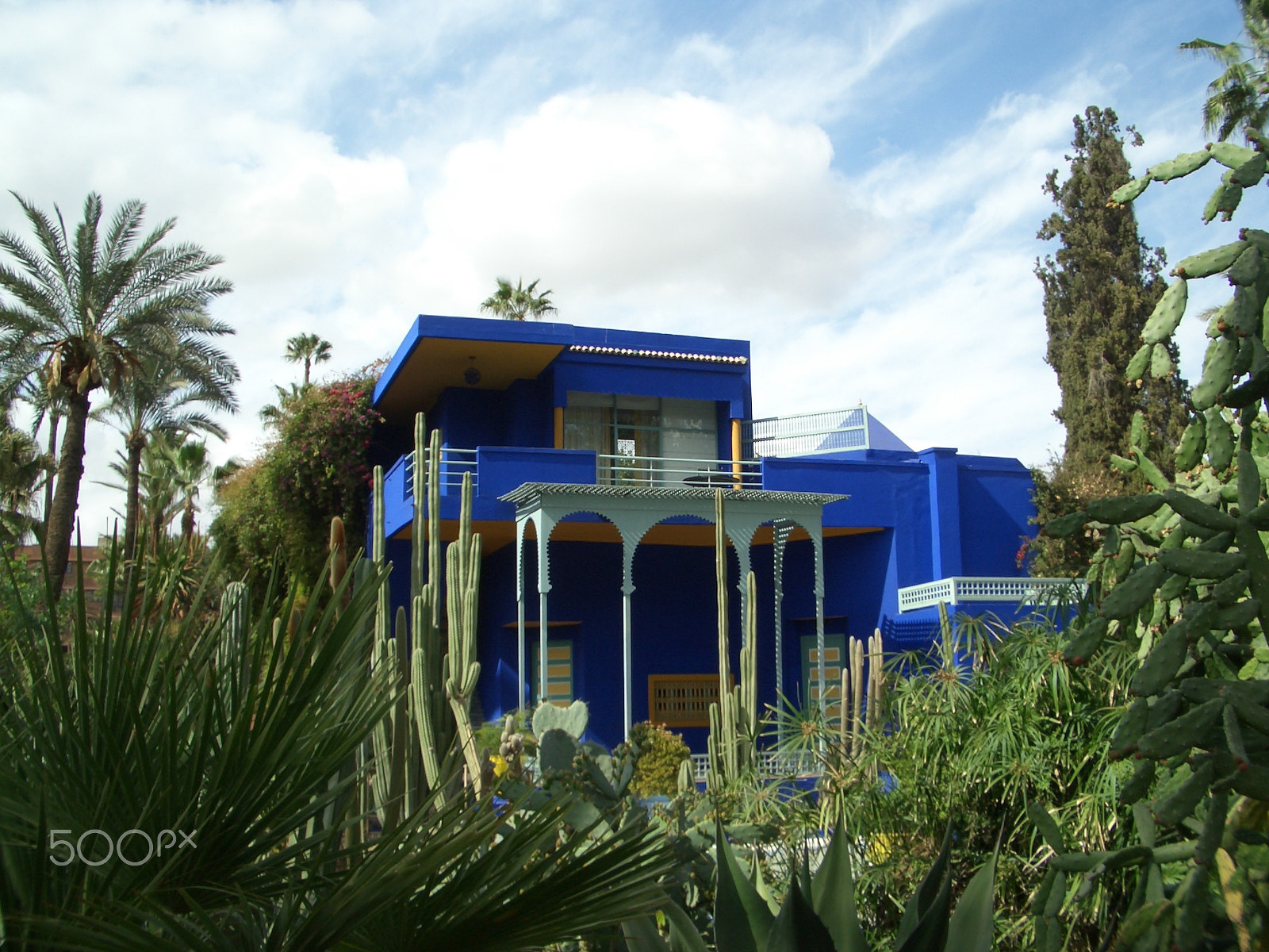 CASIO EX-Z30 sample photo. Jardin de majorelle photography