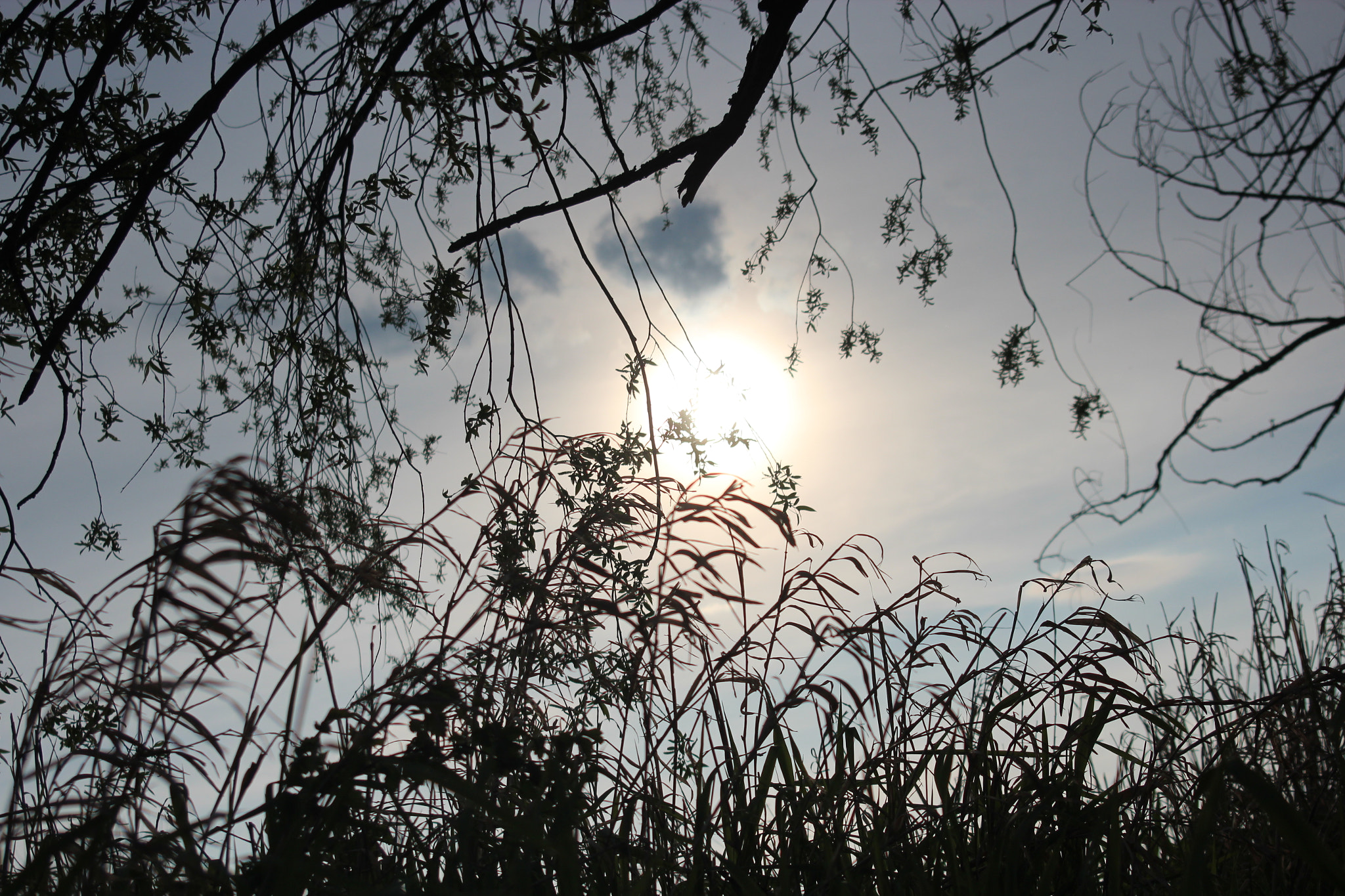 Canon EF 38-76mm f/4.5-5.6 sample photo. Sky photography