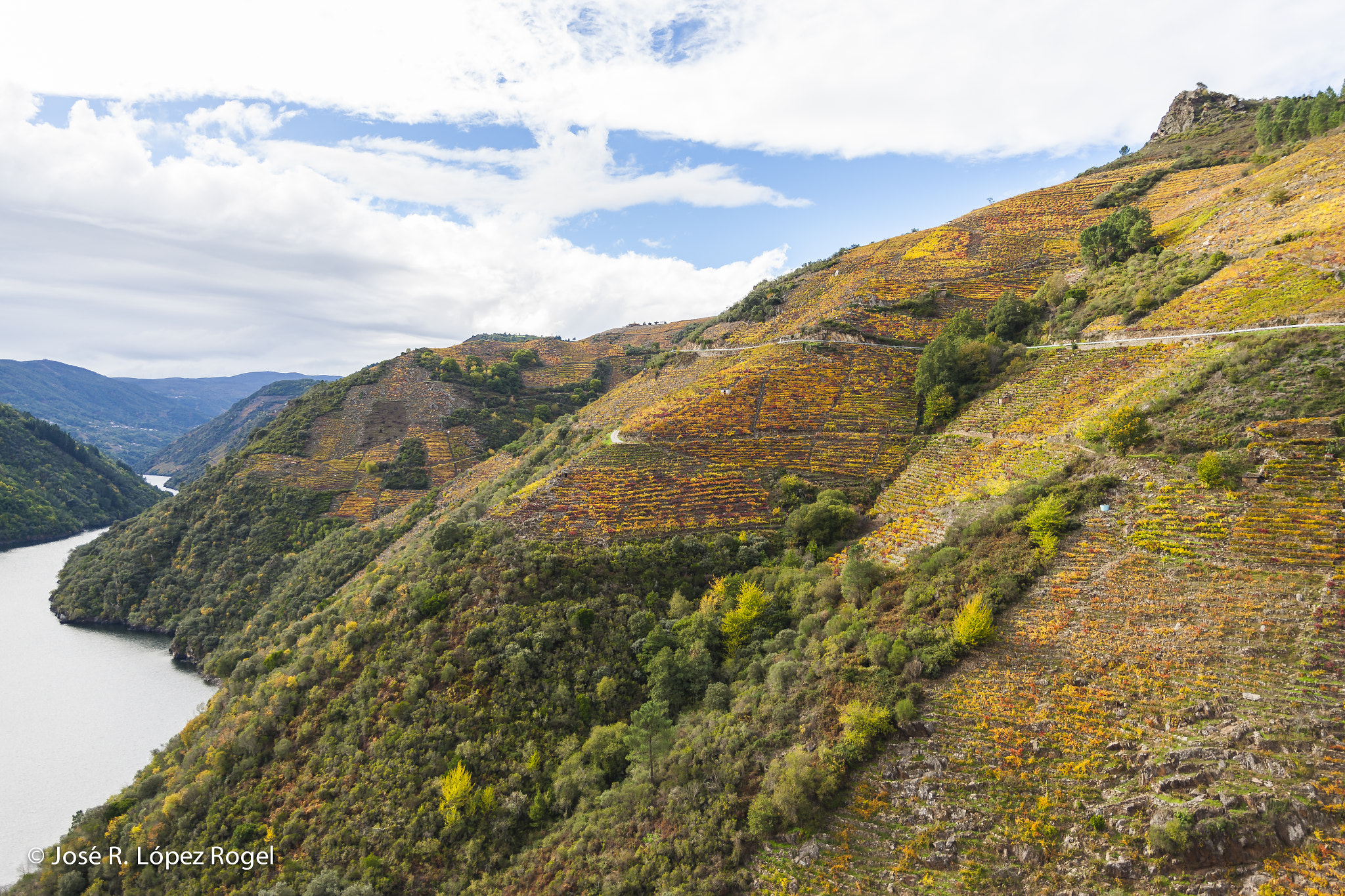 Canon EOS-1Ds Mark III sample photo. Heroic viticulture. doade, ribeira sacra photography