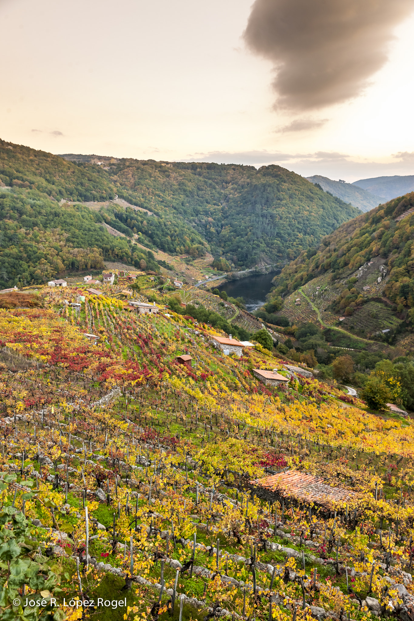 Canon EOS-1Ds Mark III sample photo. Such a pallet of colors. chantada, ribeira sacra photography