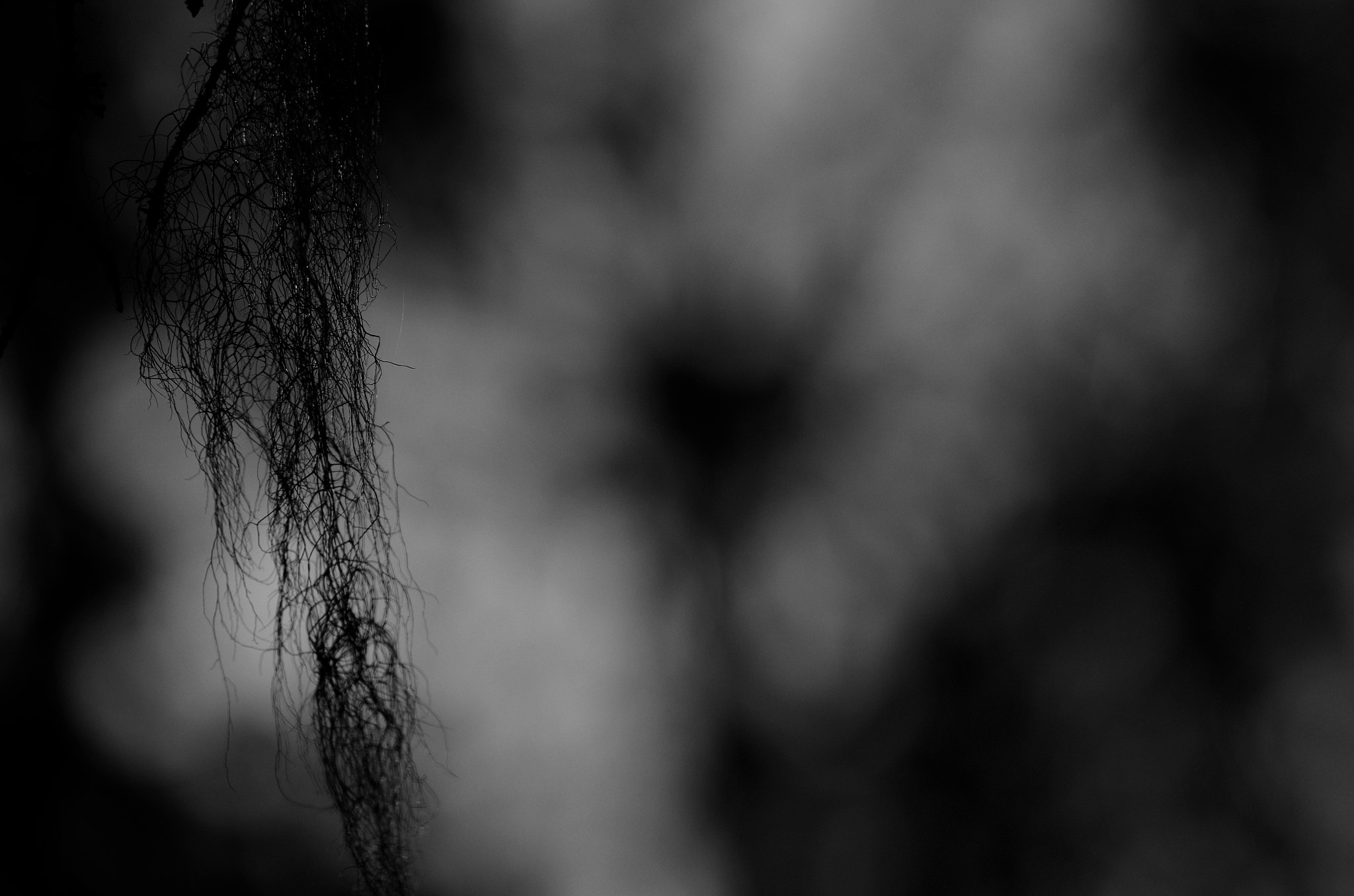 Pentax K-5 II sample photo. Nowords photography