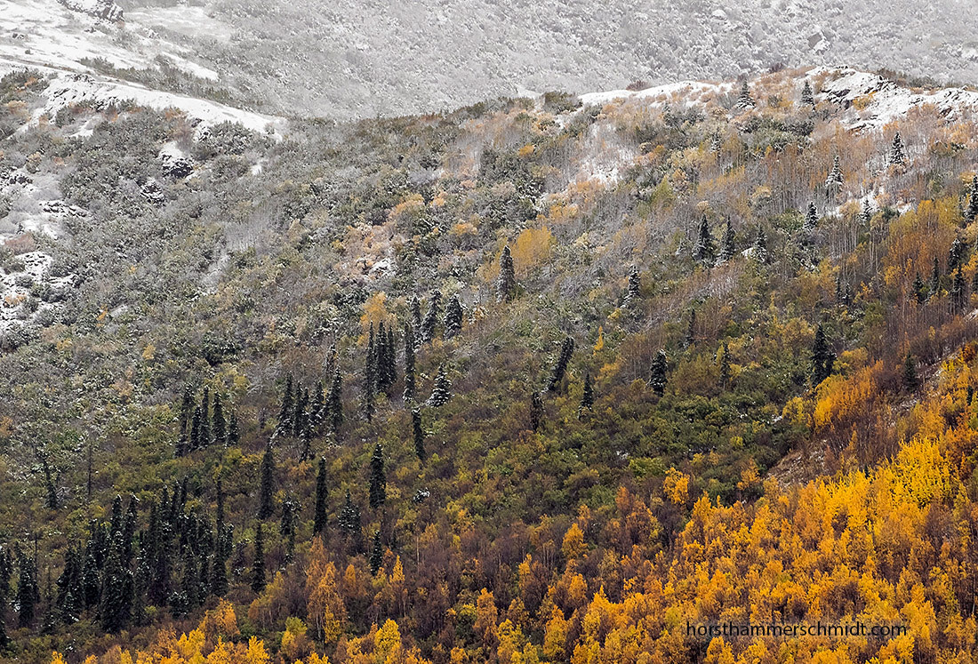 OLYMPUS M.75-300mm F4.8-6.7 sample photo. First snow in alaska photography