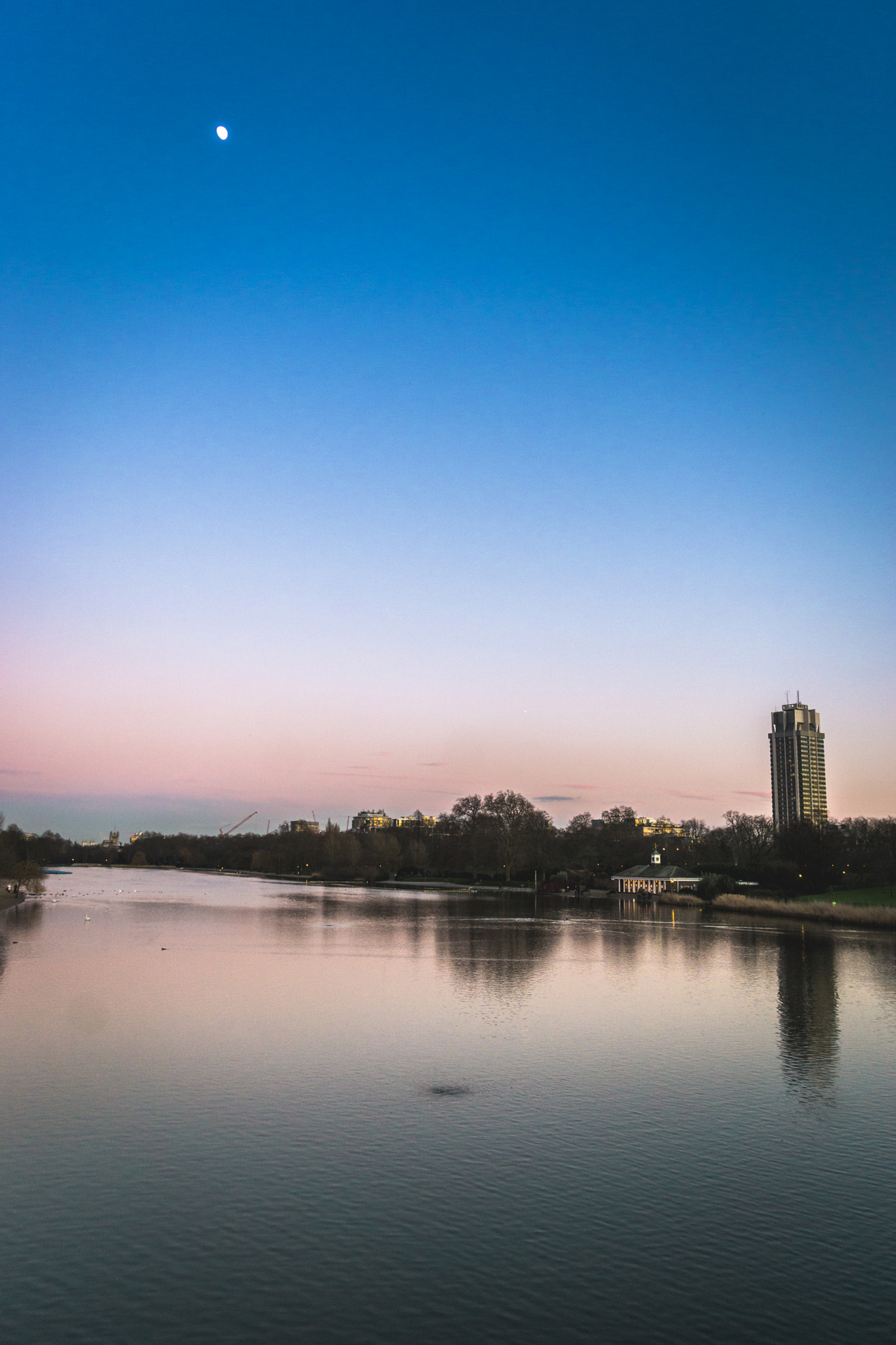 Sony a5100 + Sigma 19mm F2.8 EX DN sample photo. London park photography