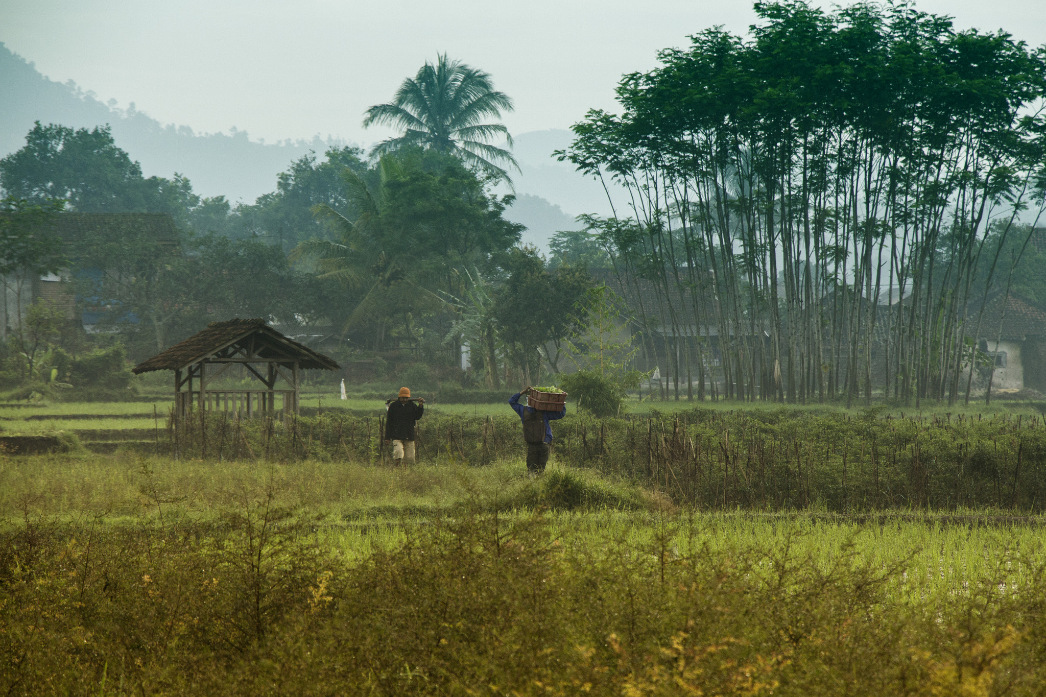Canon EF-S 18-135mm F3.5-5.6 IS STM sample photo. Ini mah garut photography