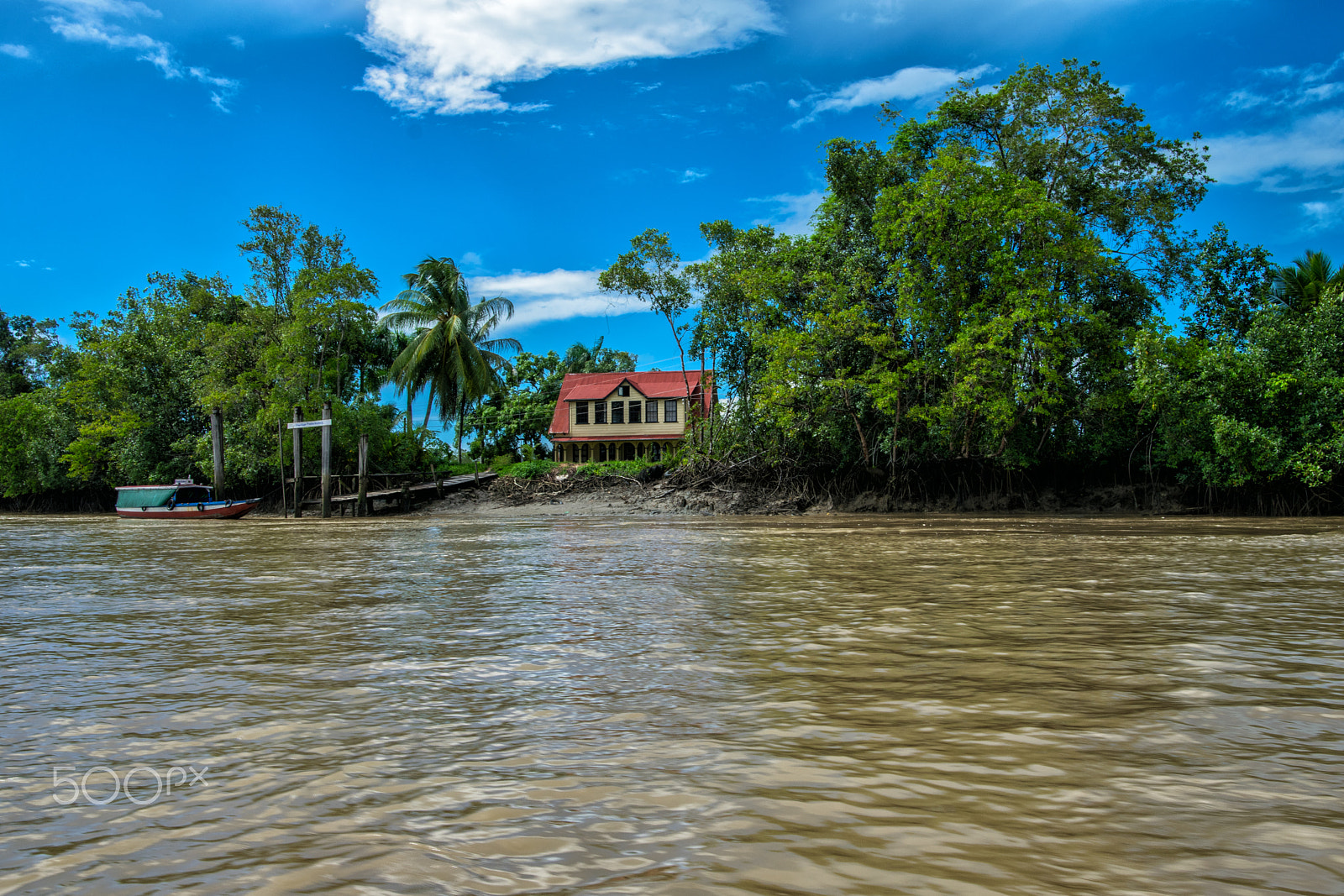 Nikon D5300 + Nikon AF-S Nikkor 20mm F1.8G ED sample photo. Coffee plantation, frederiksdorp photography