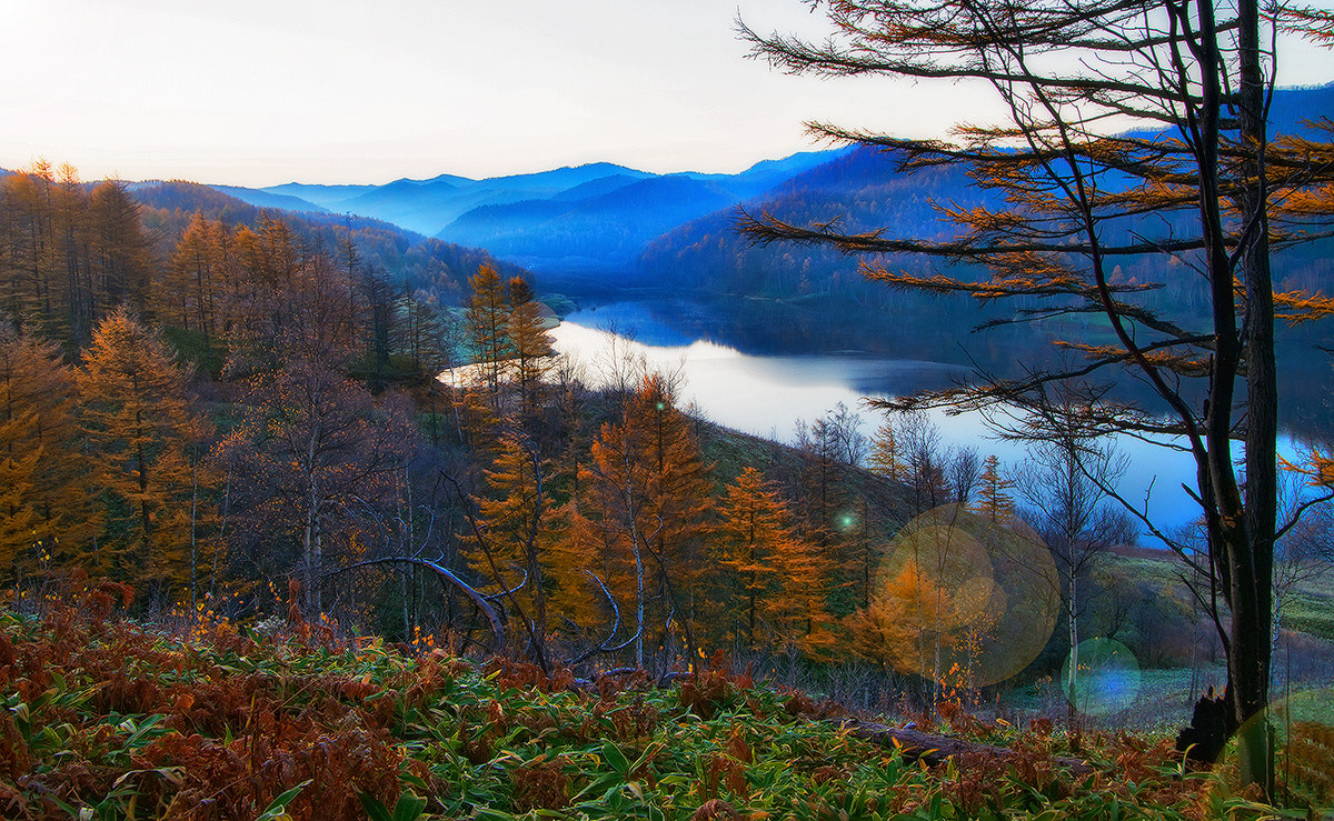 Sony Alpha DSLR-A850 sample photo. Dawn over the lake. sakhalin. photography