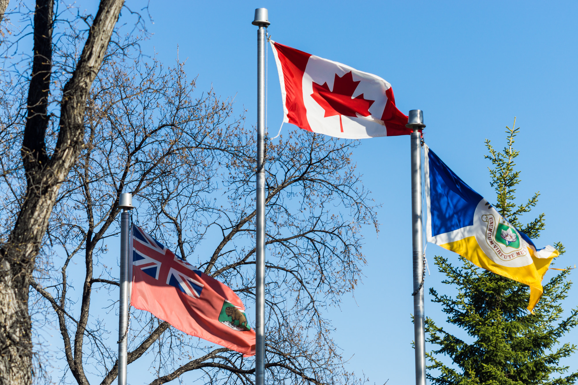 Minolta AF 100-200mm F4.5 sample photo. Manitoba pride photography