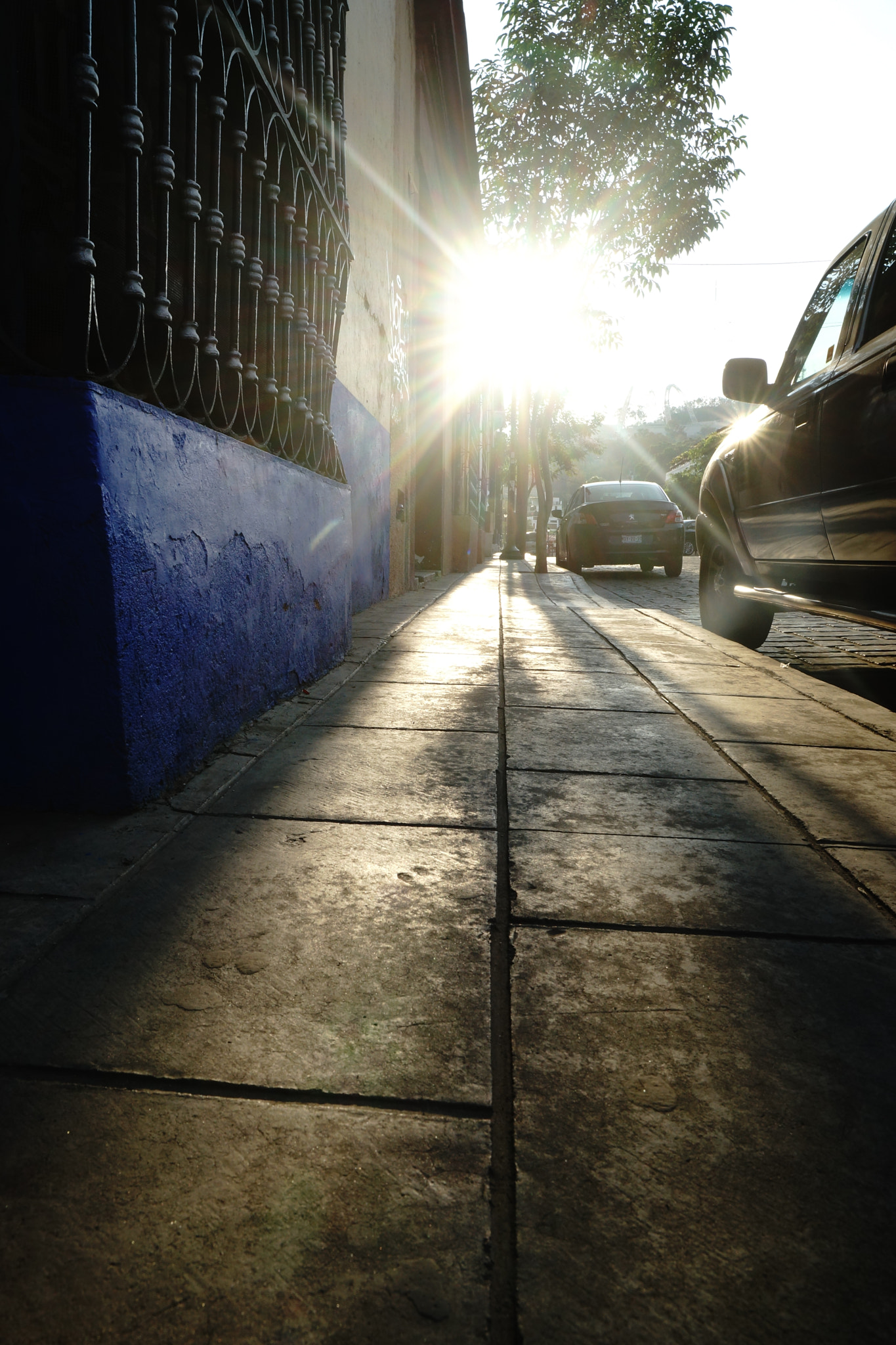 Sony SLT-A99V sample photo. La lux del atardecer photography