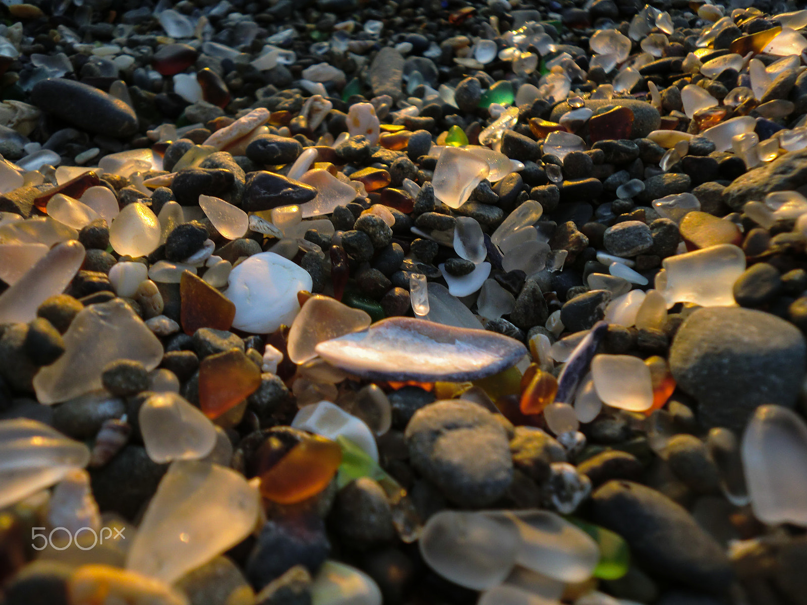 CASIO EX-Z550 sample photo. Beach sparkle photography