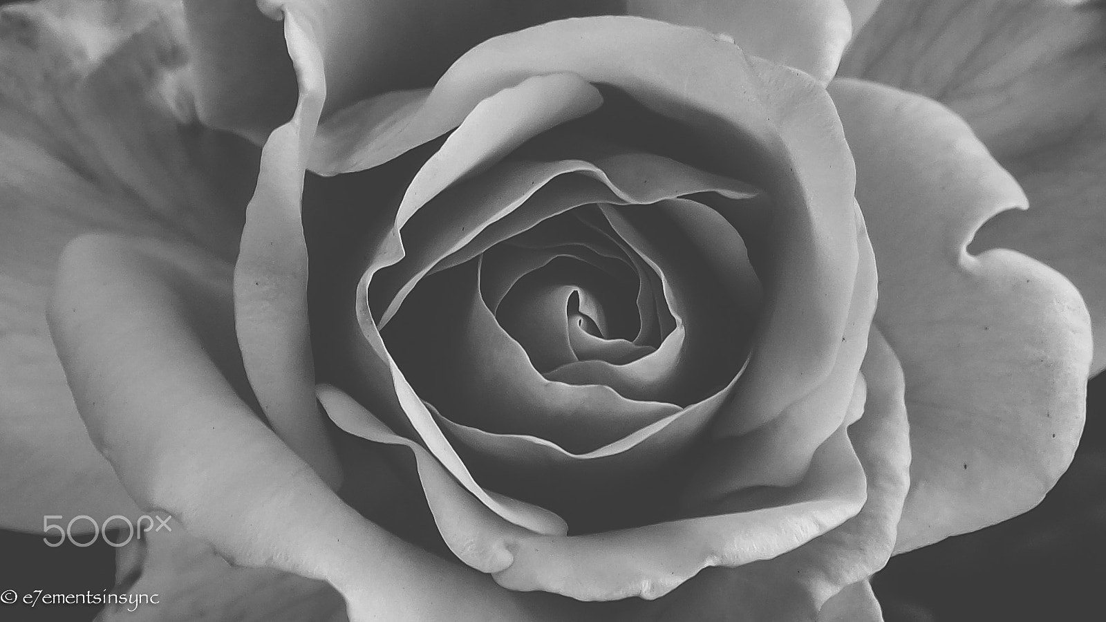 Samsung NX-M 9-27mm F3.5-5.6 ED OIS sample photo. Black velvet photography