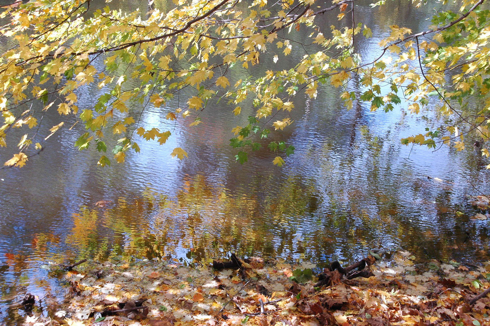 AF Zoom-Nikkor 24-120mm f/3.5-5.6D IF sample photo. Along the delaware river photography