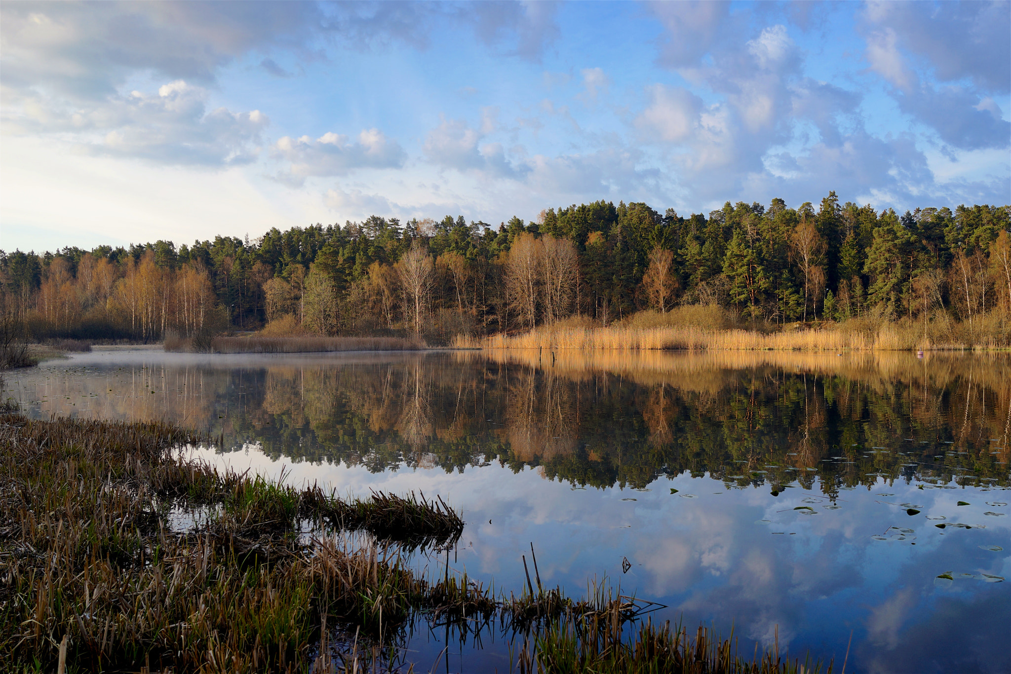 Sony Cyber-shot DSC-RX1R + Sony 35mm F2.0 sample photo. Morning by the lake photography