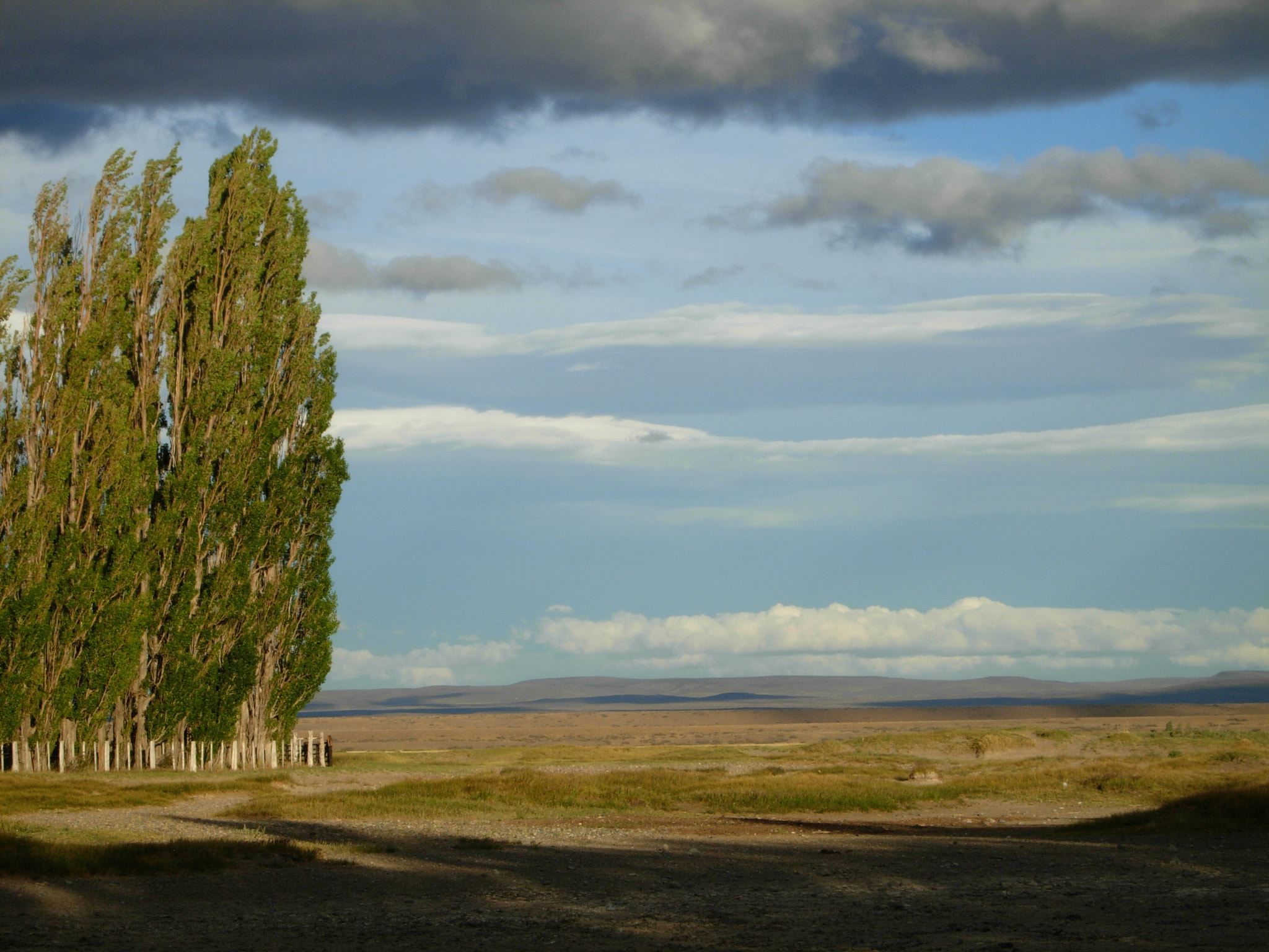 Nikon COOLPIX P3 sample photo. Pampa in argentina... photography