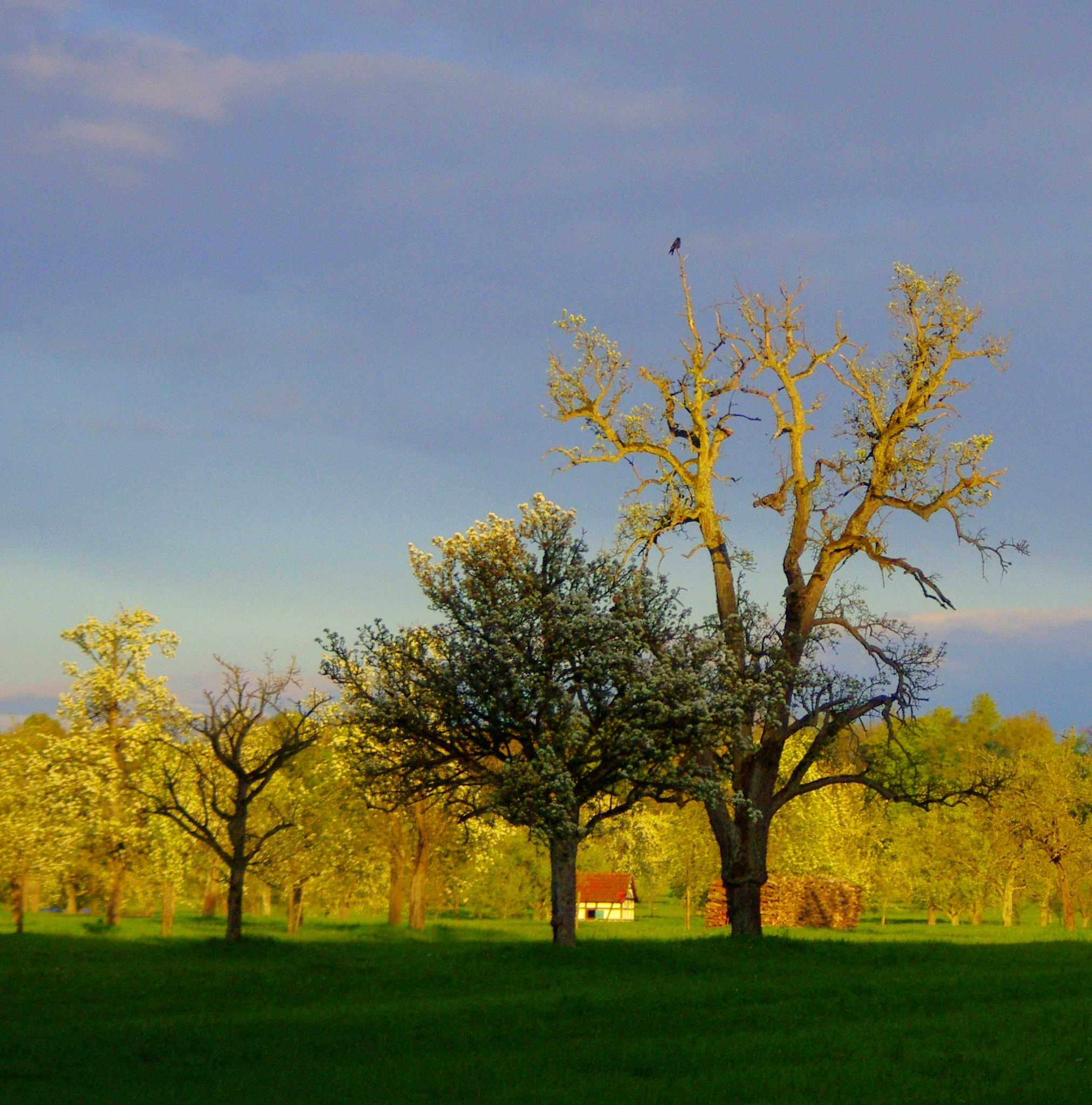 smc PENTAX-DA L 55-300mm F4-5.8 ED sample photo. Last place in the sun photography