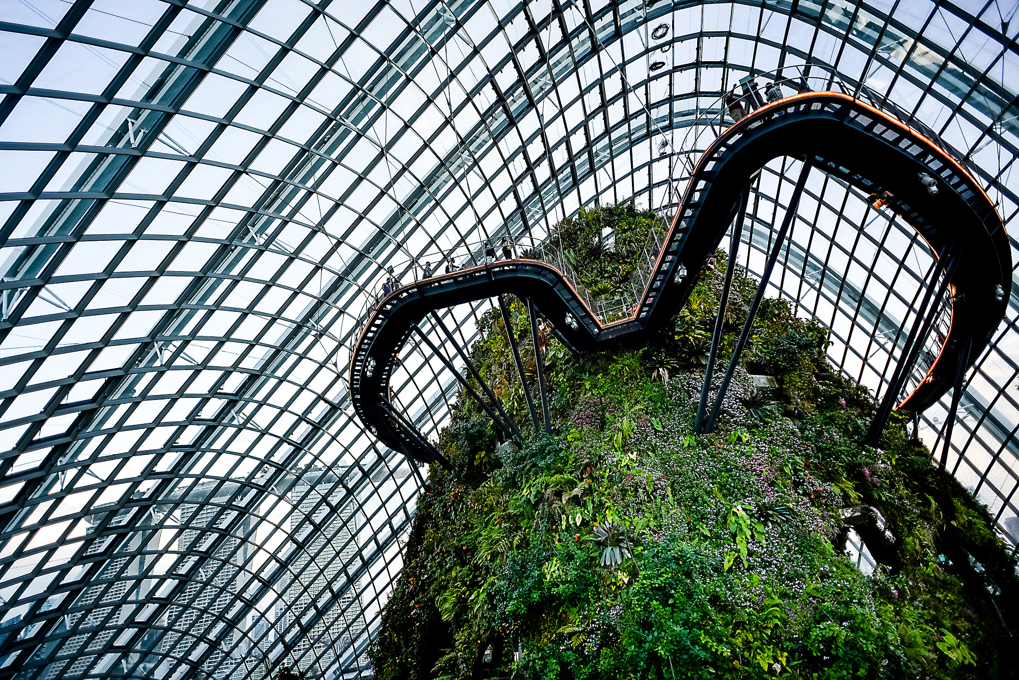 Nikon D600 + Nikon AF Nikkor 20mm F2.8D sample photo. Cloud forest photography