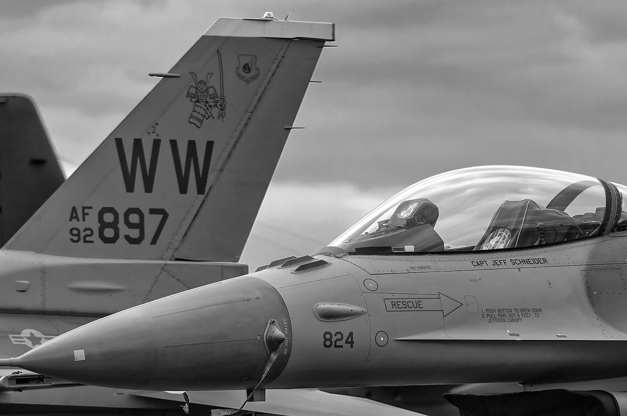 Nikon D2X sample photo. Nose to tail photography