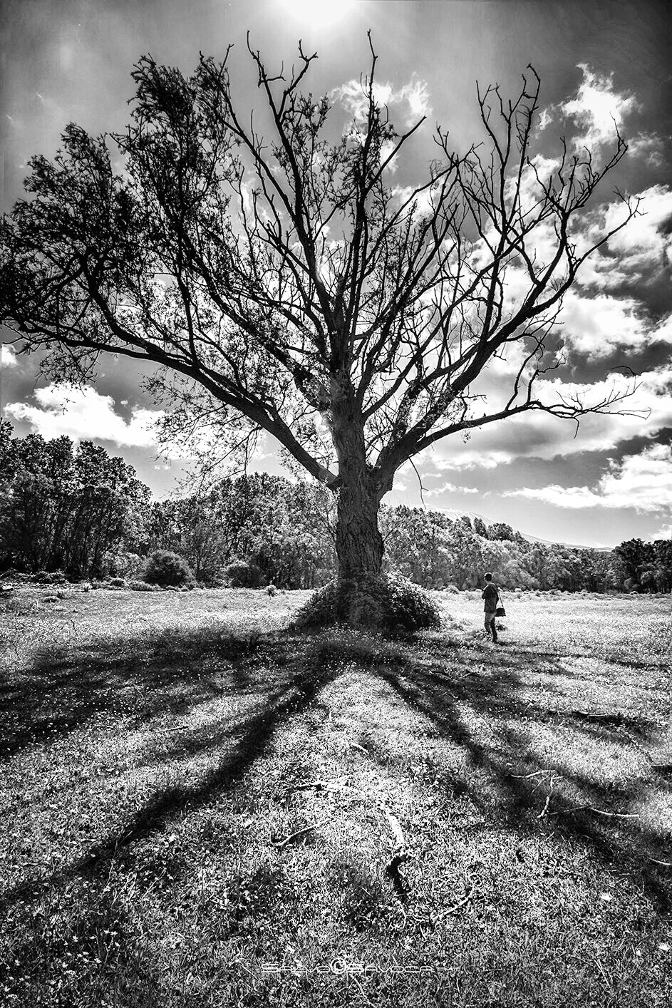 Canon EF-S 10-18mm F4.5–5.6 IS STM sample photo. Mother of life photography