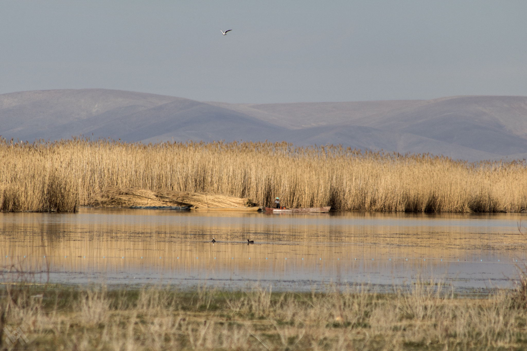 Canon EOS 760D (EOS Rebel T6s / EOS 8000D) sample photo. Eber lake photography