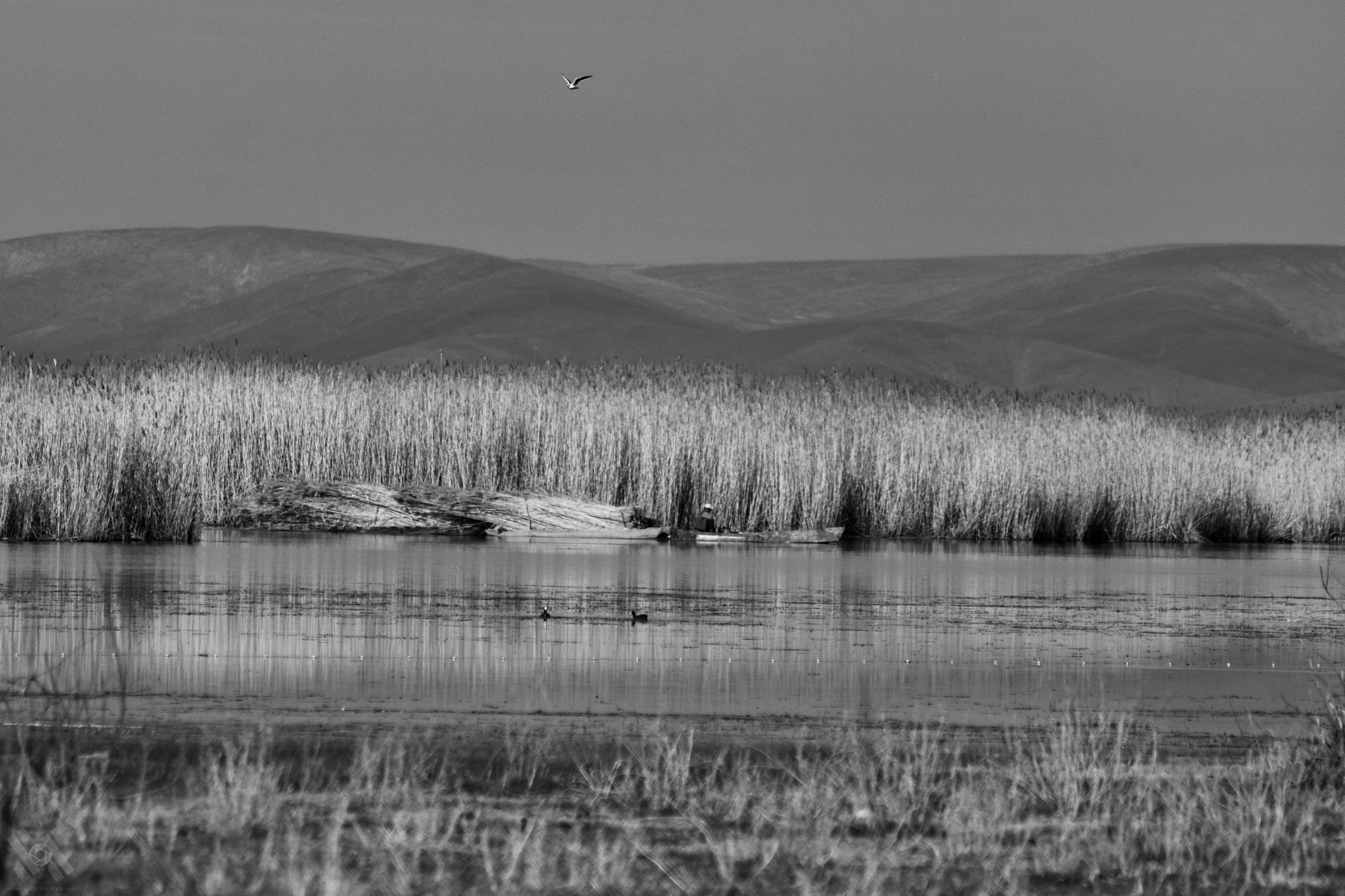 Canon EOS 760D (EOS Rebel T6s / EOS 8000D) sample photo. Eber lake photography