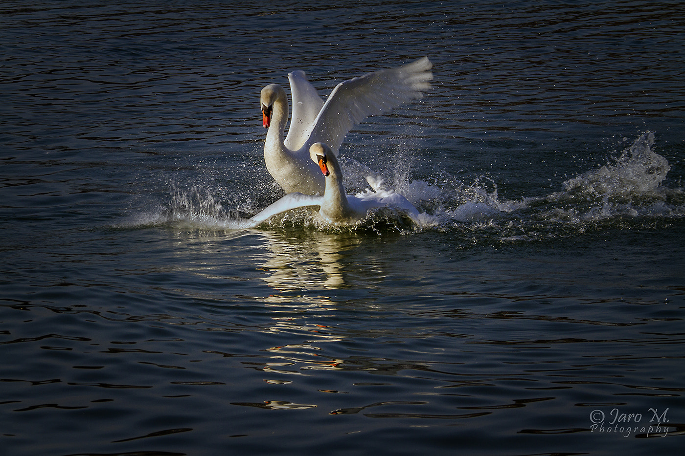Canon EF 28-300mm F3.5-5.6L IS USM sample photo. Love story ii. photography