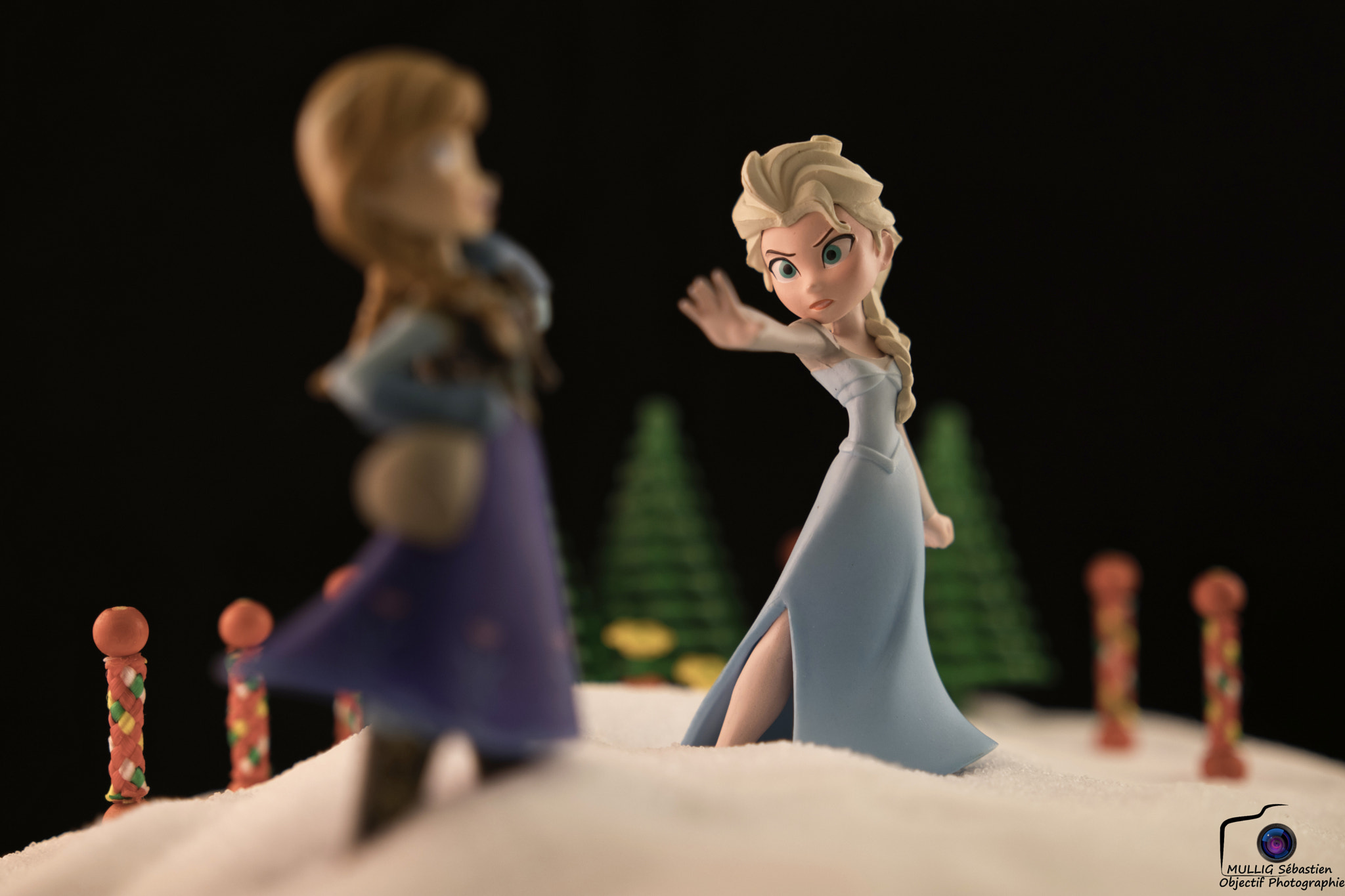 Sigma 18-35mm f/1.8 DC HSM sample photo. Reine des neiges photography