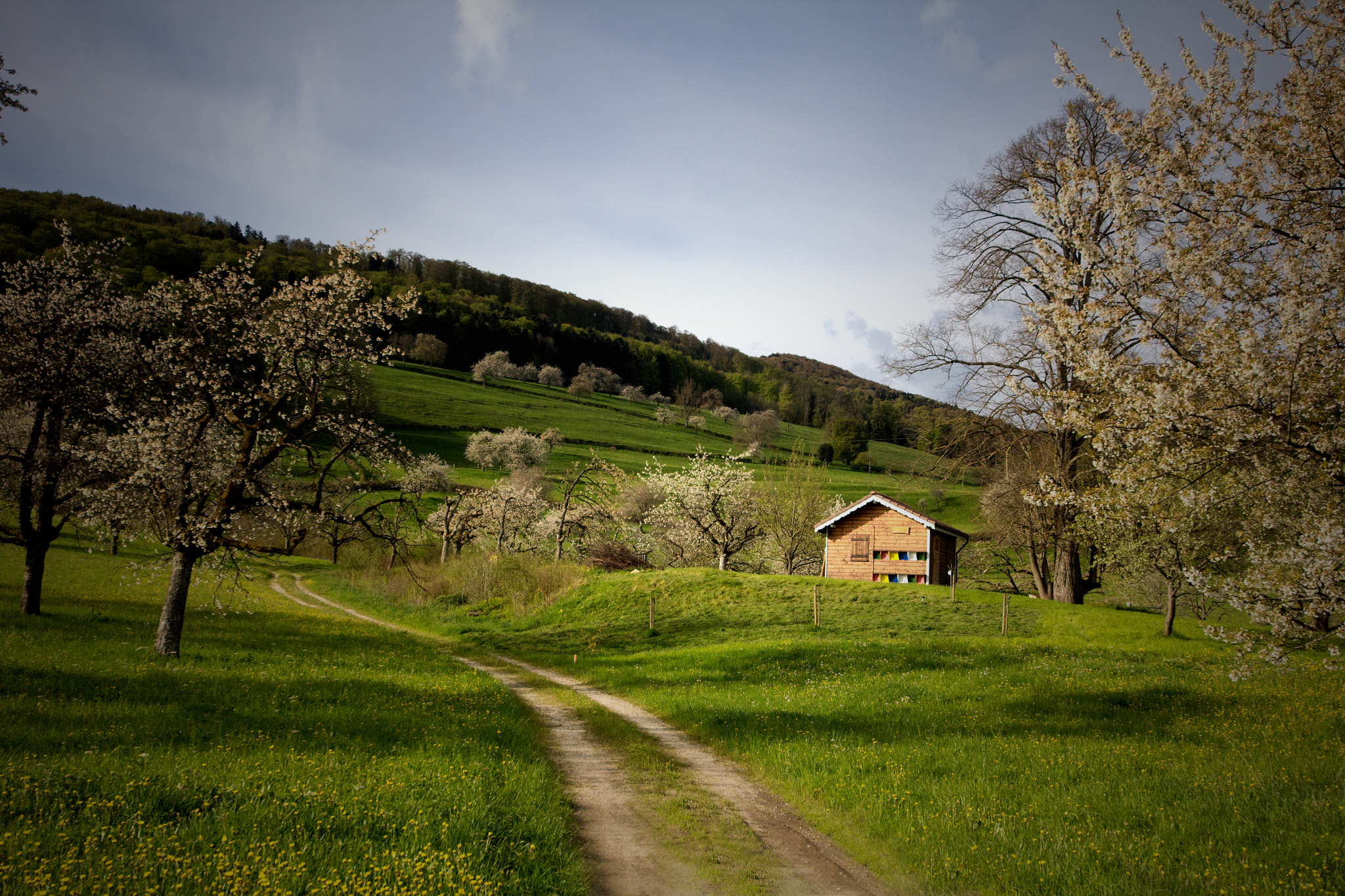 Sigma 12-24mm F4.5-5.6 II DG HSM sample photo. Ruche courtemautruy photography