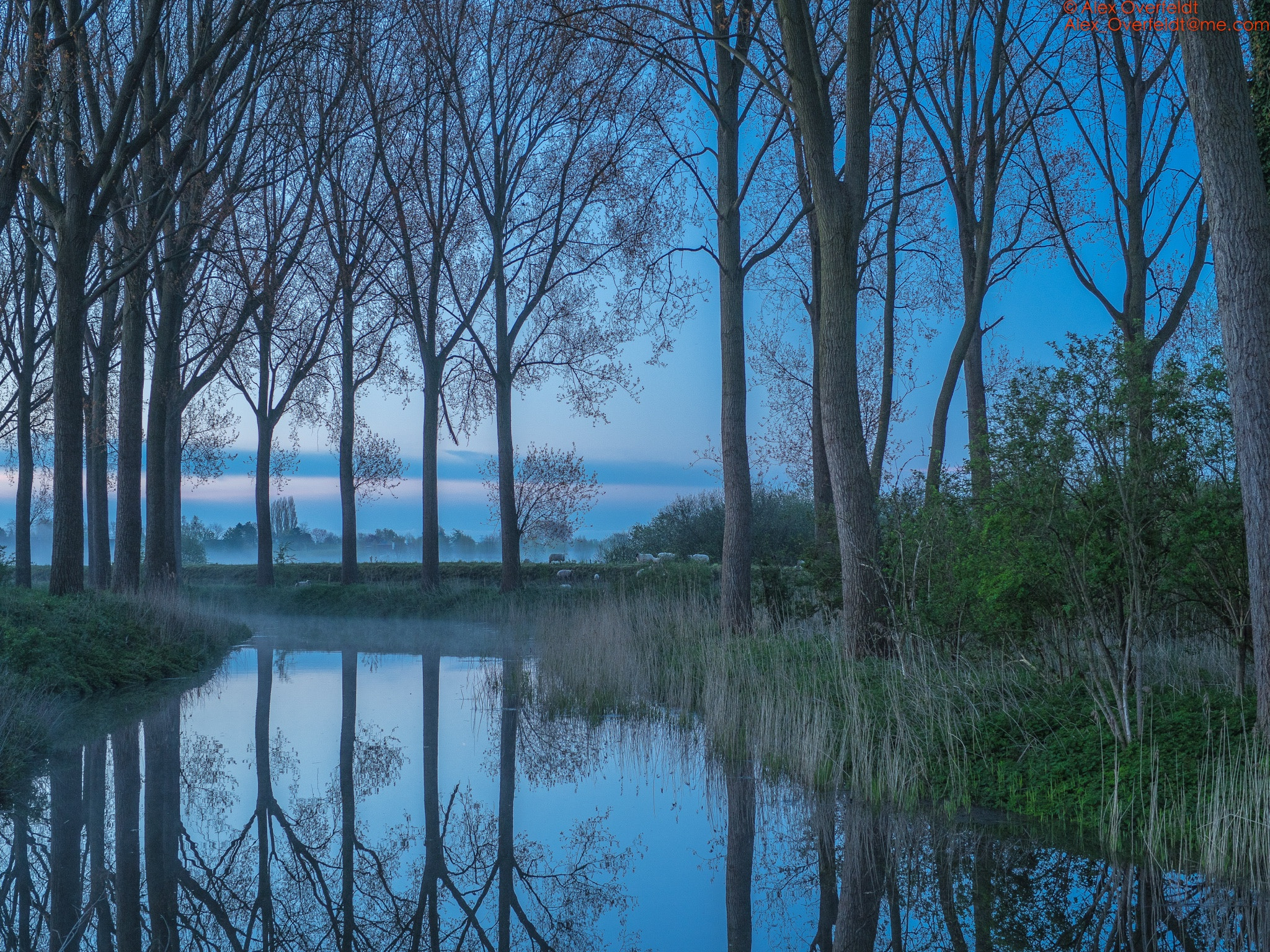 Olympus PEN-F + Panasonic Leica DG Summilux 25mm F1.4 II ASPH sample photo. 1 may 2016 early morning around damme photography