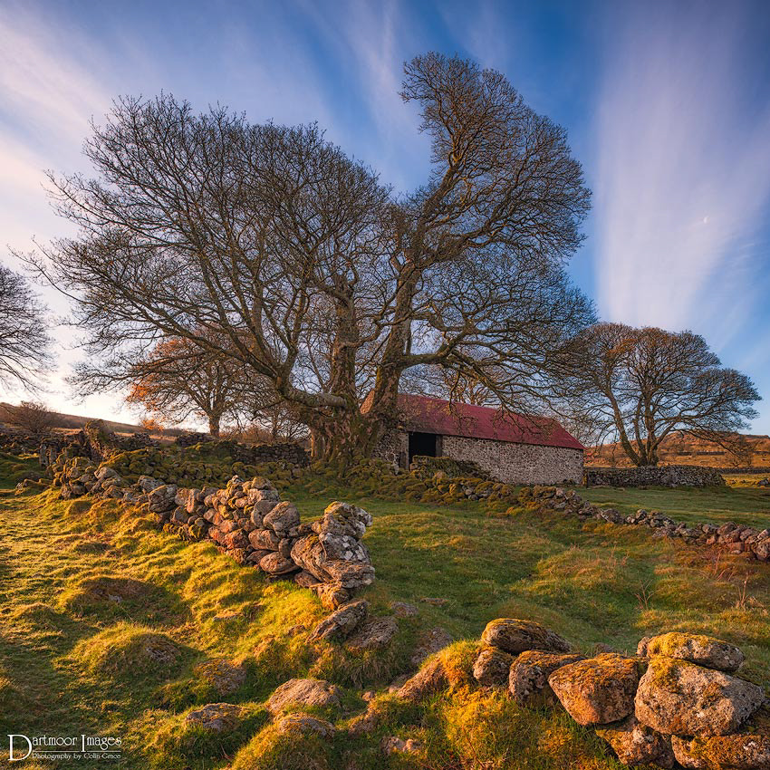 Nikon D700 + Nikon PC-E Nikkor 24mm F3.5D ED Tilt-Shift sample photo. Emsworthy barn photography