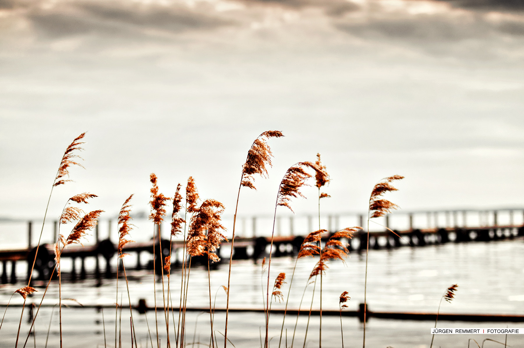 Sigma 50-150mm F2.8 EX APO DC HSM sample photo. ... nowhere ... photography