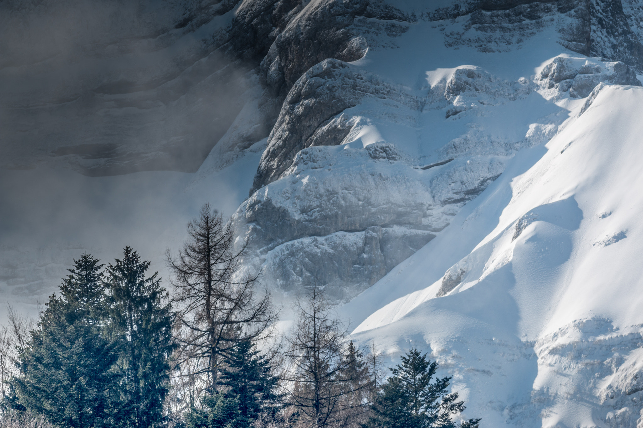 Canon EF 200mm f/2.8L II + 2x sample photo. Alpine spring photography