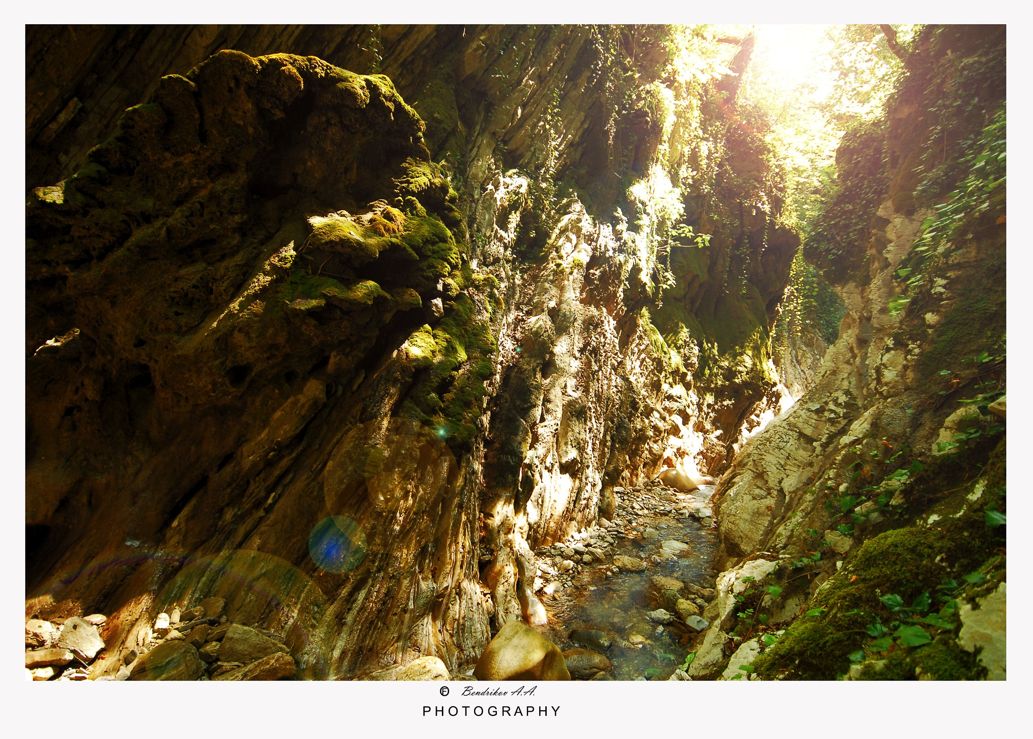 Nikon D200 sample photo. Untitled photography