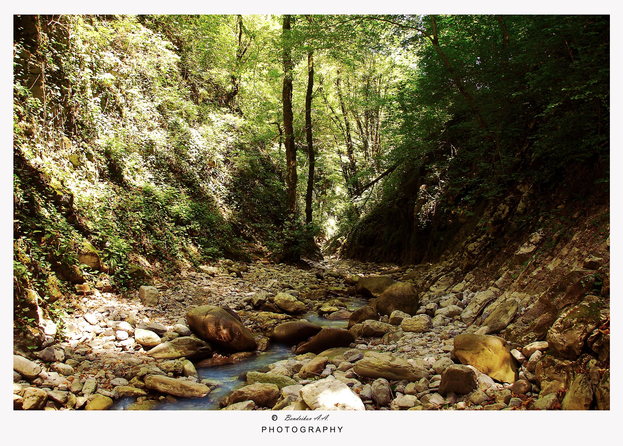 Nikon D200 sample photo. Untitled photography