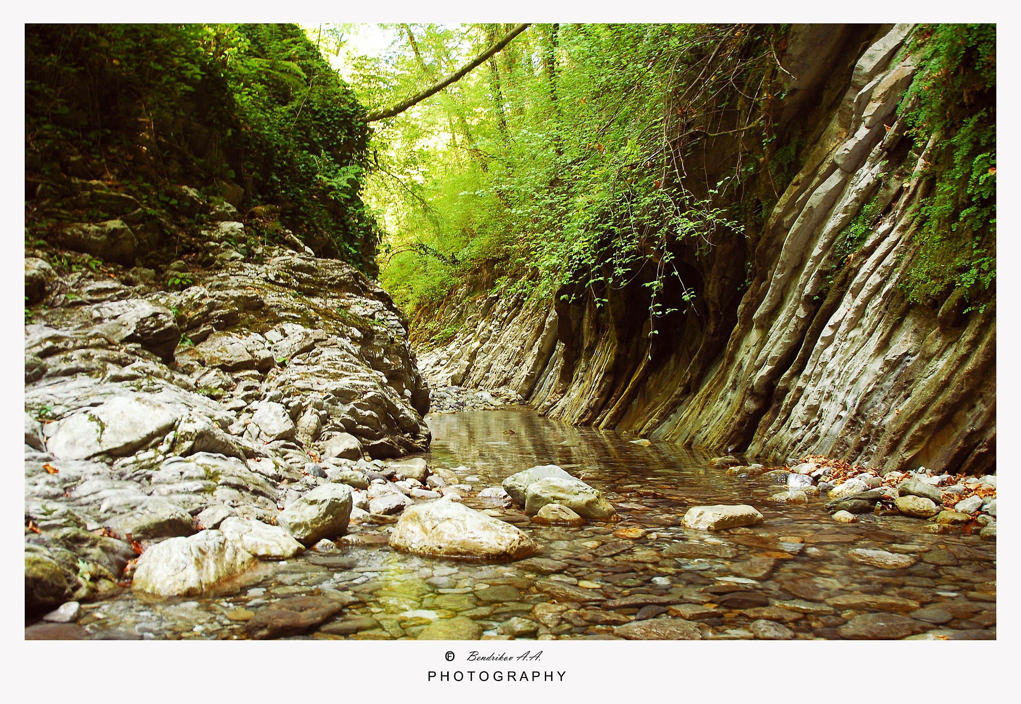 Nikon D200 sample photo. Untitled photography