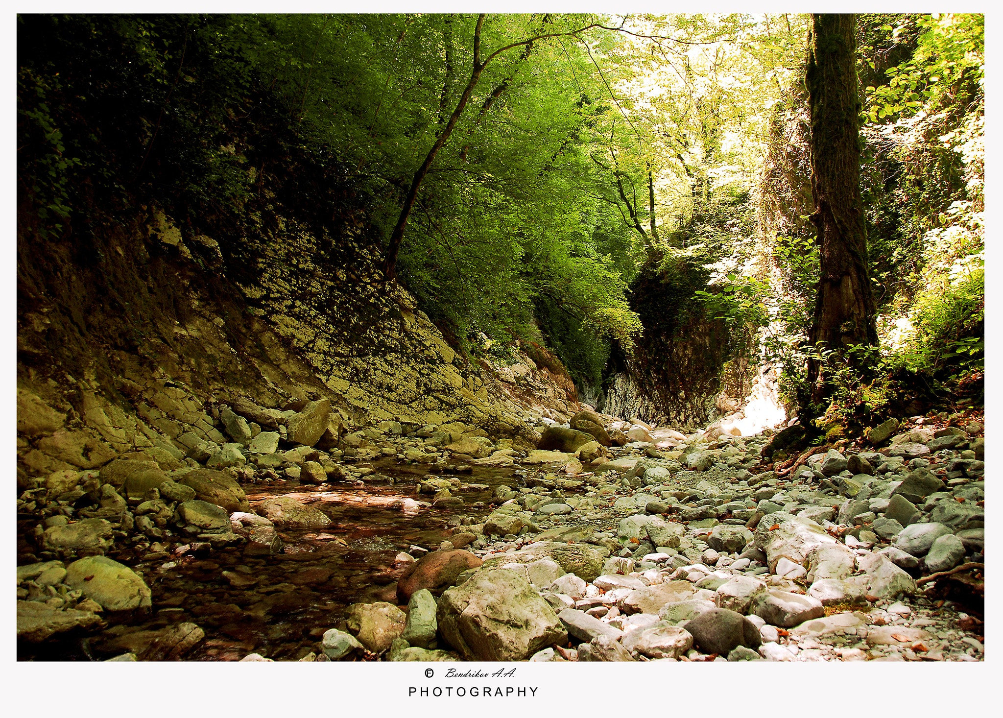 Nikon D200 sample photo. Untitled photography