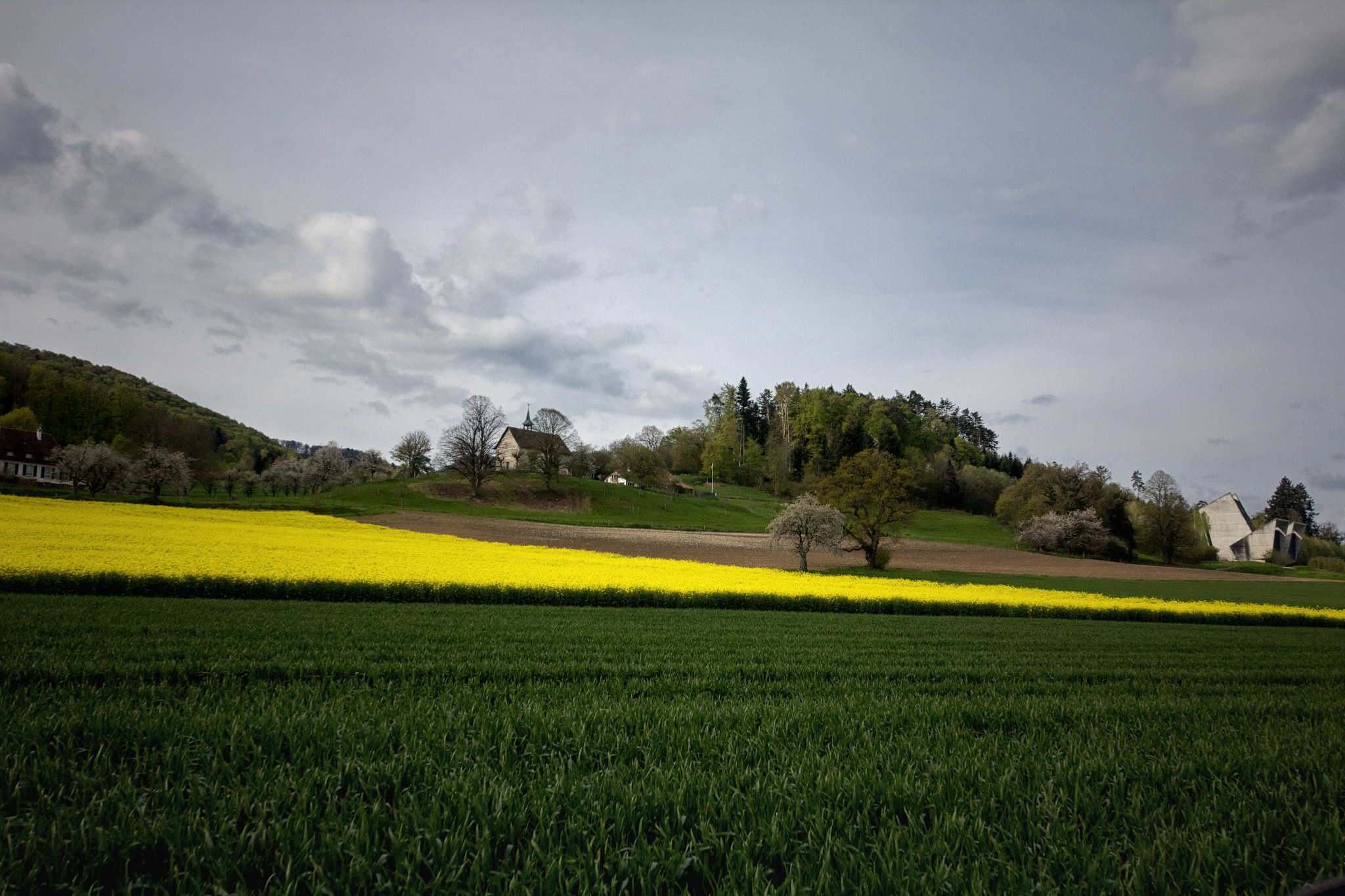Sigma 12-24mm F4.5-5.6 II DG HSM sample photo. Colza stgilles photography