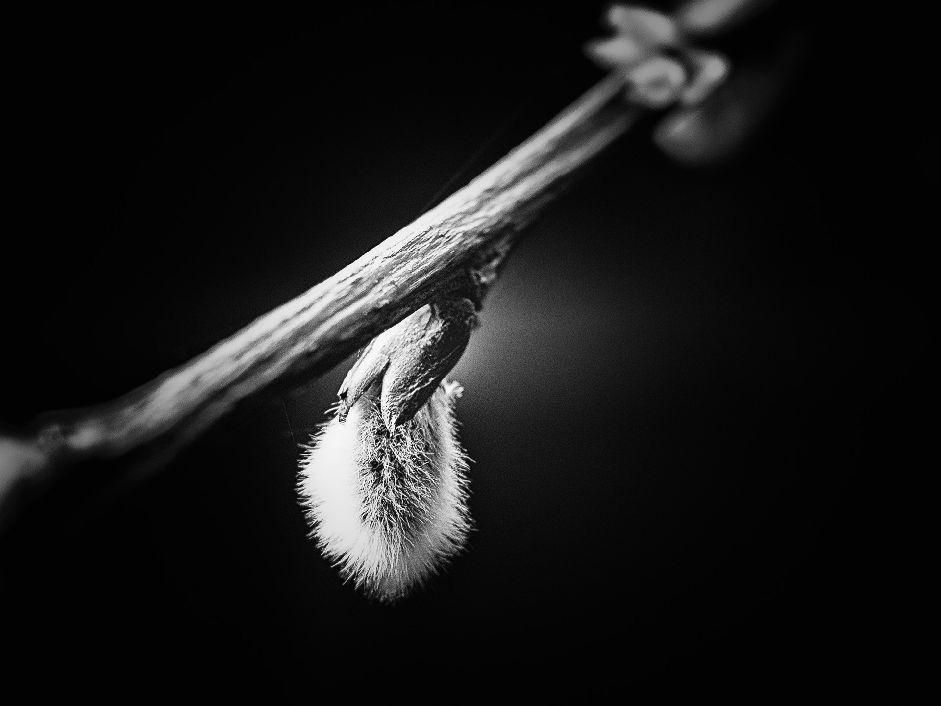 Olympus OM-D E-M5 + LUMIX G 25/F1.7 sample photo. Stille... photography