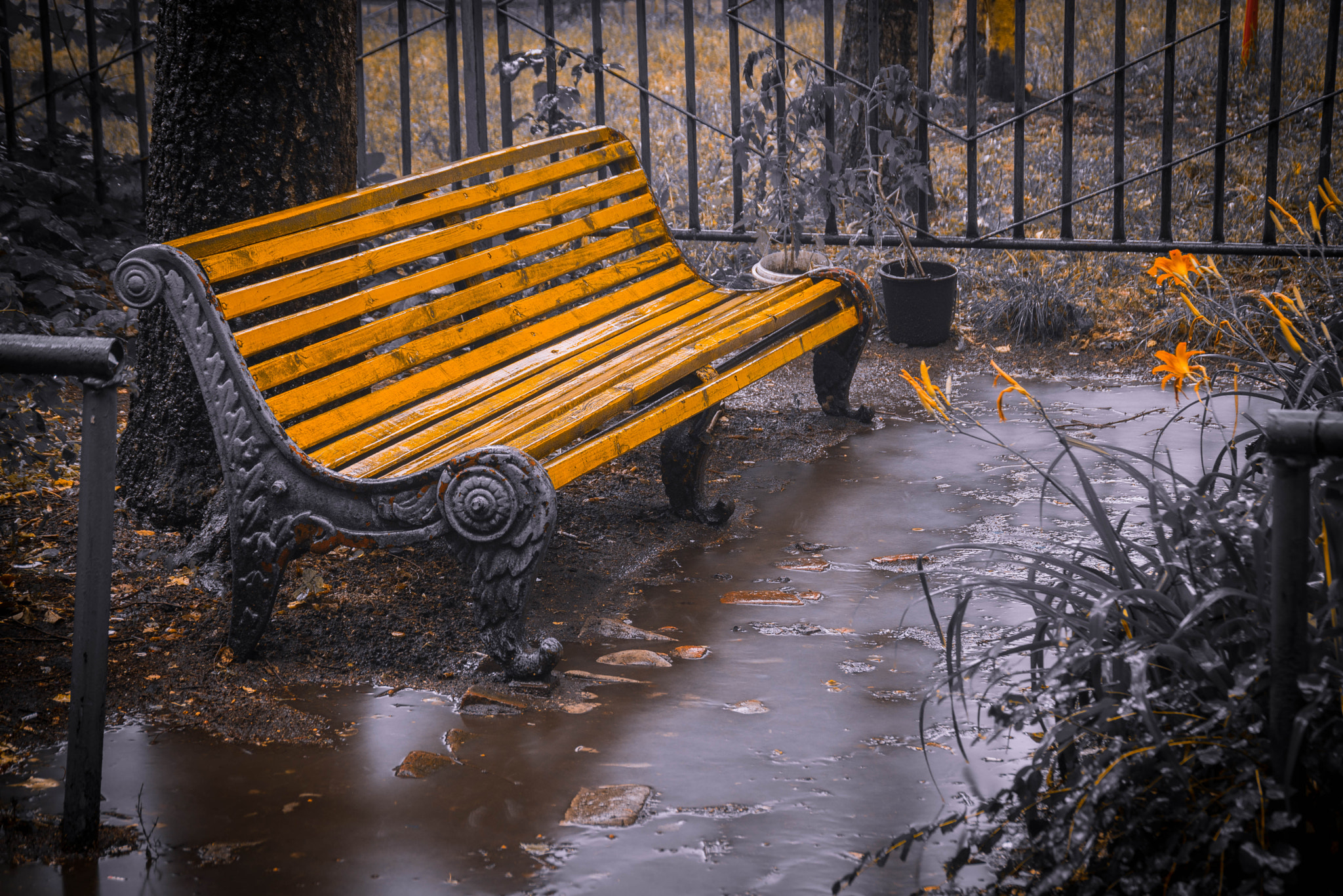 Nikon D600 sample photo. Bench in rain photography