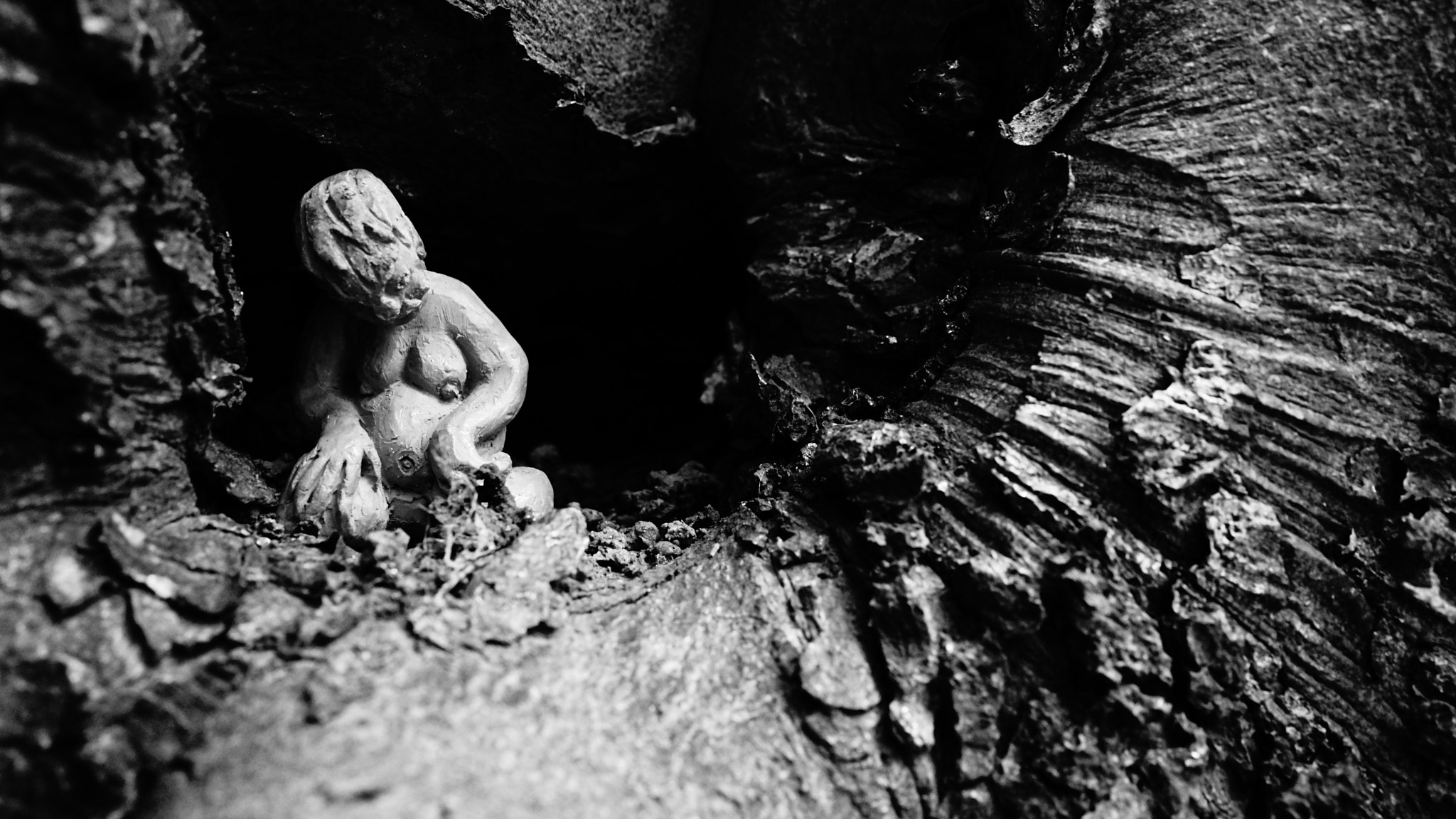 Sony a7 II + Sony FE 28mm F2 sample photo. Tree trolls photography