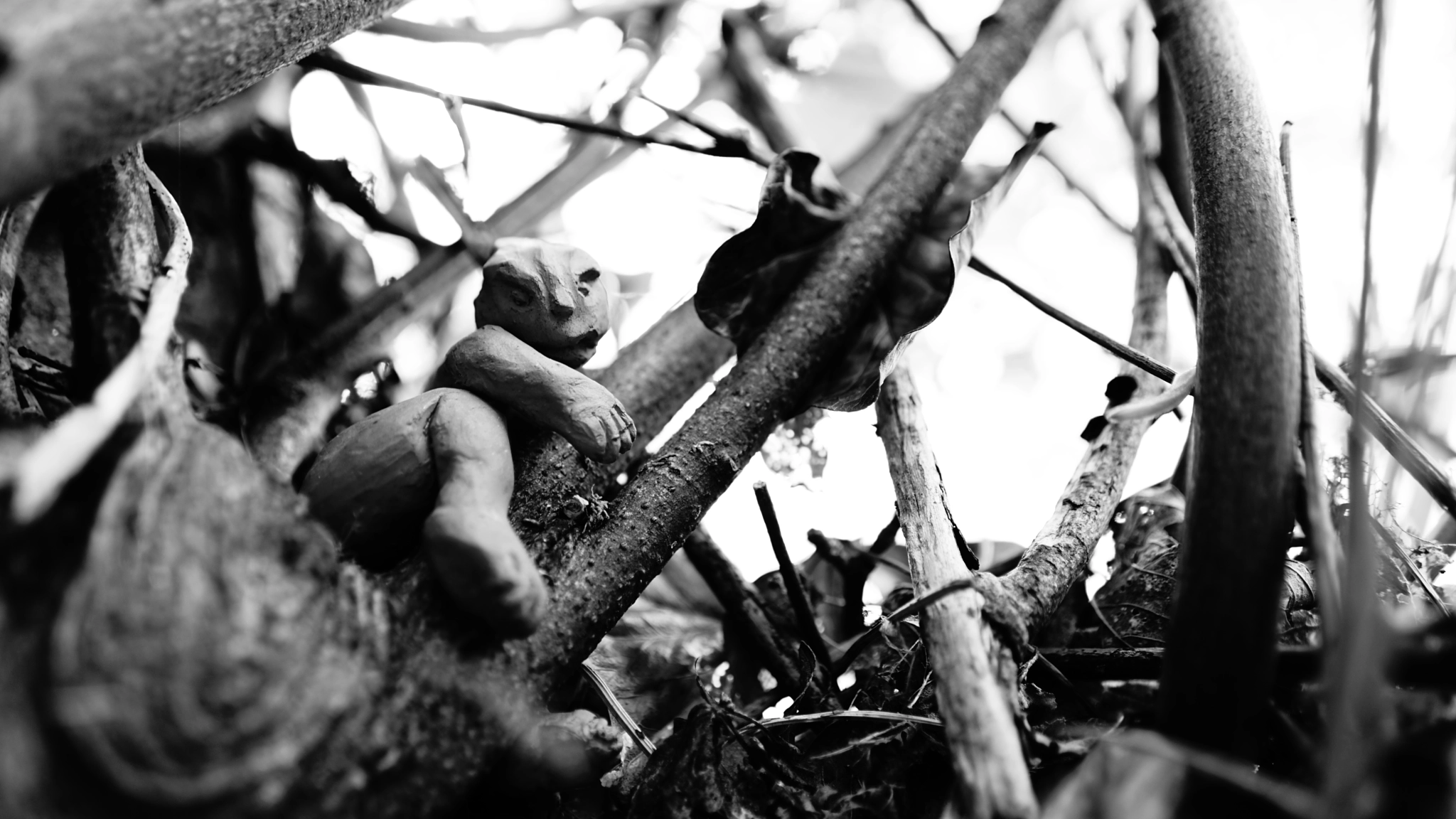 Sony a7 II + Sony FE 28mm F2 sample photo. Tree trolls photography