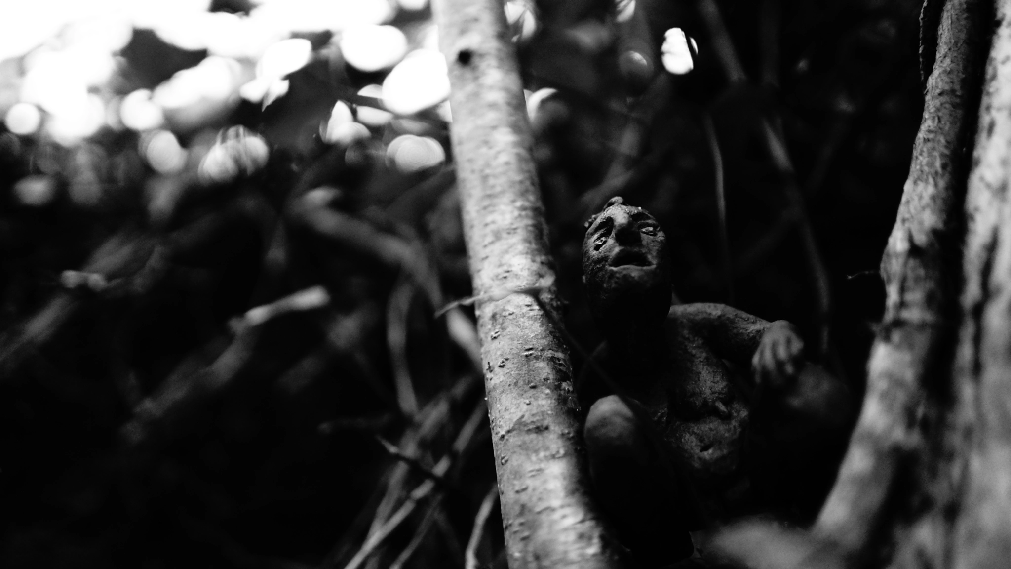 Sony a7 II + Sony FE 28mm F2 sample photo. Tree trolls photography