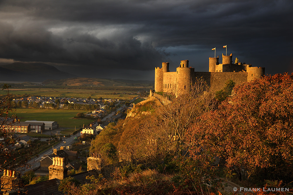 Canon EOS 5DS + Canon TS-E 17mm F4L Tilt-Shift sample photo. Uk 06 - wales harlech castle photography