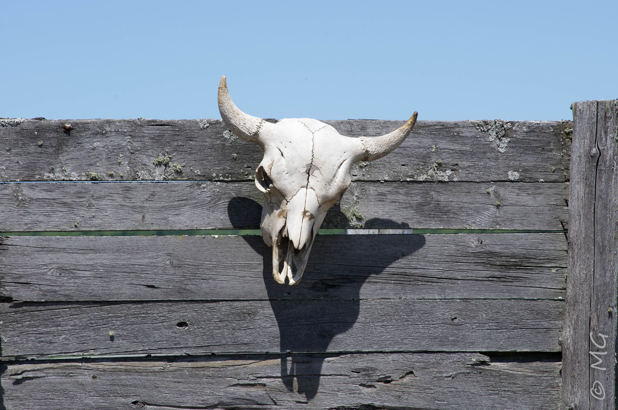 Pentax K-r + Sigma sample photo. Welcome to texas photography