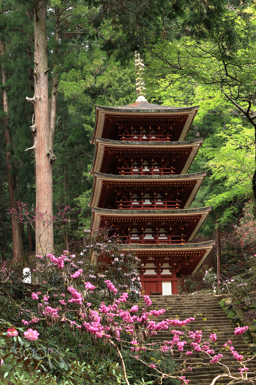 Canon EOS 100D (EOS Rebel SL1 / EOS Kiss X7) sample photo. Five-storied pagoda photography