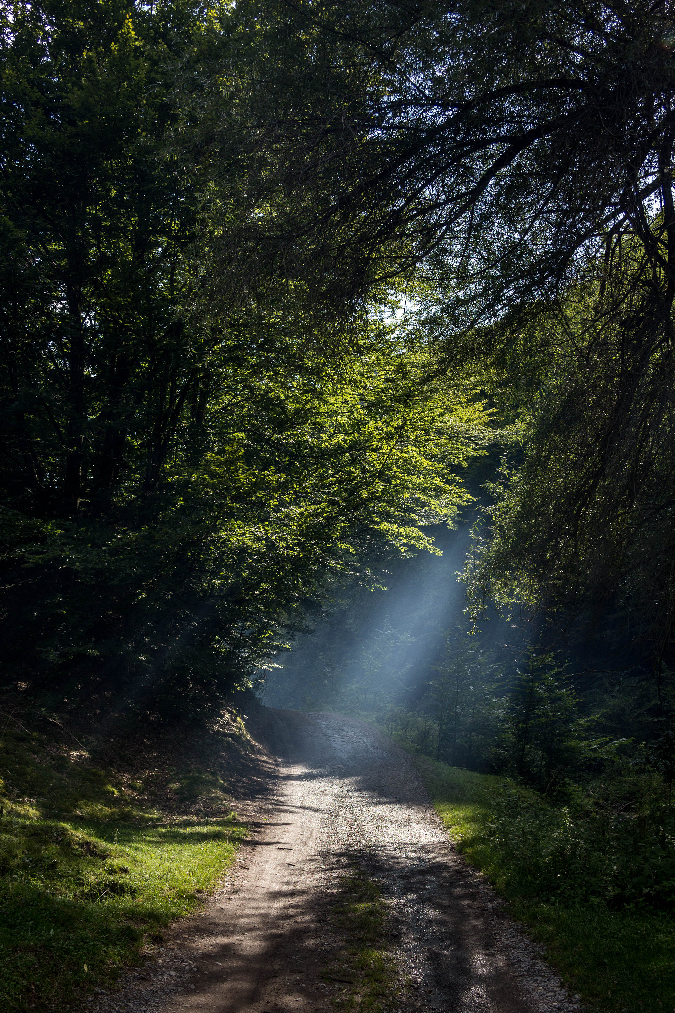 Canon EF-S 18-55mm F3.5-5.6 sample photo. Wonderland photography